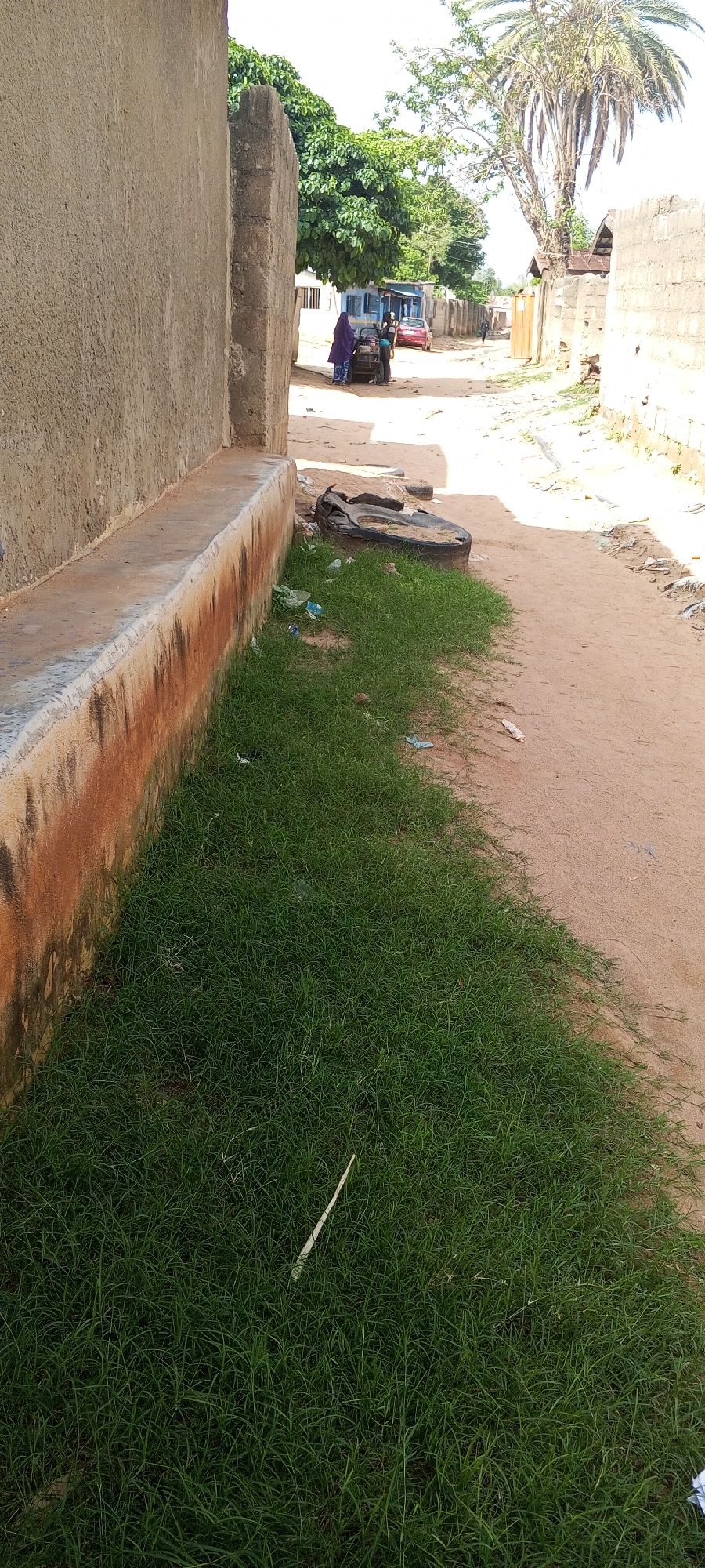 The image shows a narrow dirt road in Jalingo, Nigeria, bordered by walls on both sides. A rough, unpaved sidewalk runs along the left side, made of concrete. On the right side of the road, there is an abundance of green grass growing out of the sandy soil. A discarded tire lies on the grassy area, accompanied by scattered plastic debris. In the background, several buildings can be seen, with trees and palm trees dotting the landscape. Two people are visible near a small cart on the road, and a red car is parked further down. The scene appears to be a residential area in Jalingo.
