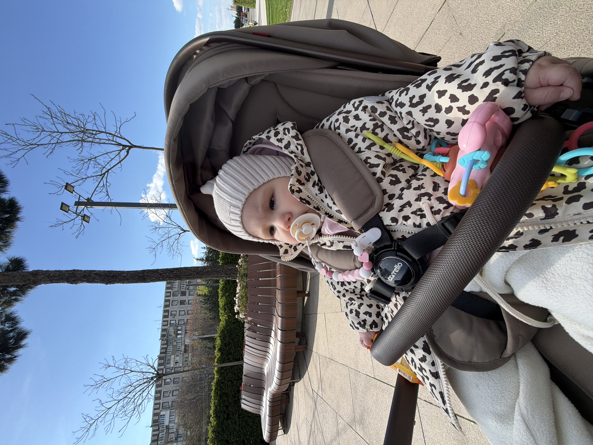 An infant is seen sitting in a dark grey stroller, looking towards the camera. The baby wears a cream-colored knitted hat with small ear-like protrusions and a distinctive black-and-white leopard print padded jacket or suit. A pacifier with a white and yellow nipple is in the baby's mouth, attached by a beaded clip featuring pink hearts and white beads to the stroller's harness strap. The brand name "Carrello" is visible on a black circular element of the strap. Colorful plastic toys, including pink, yellow, and blue rings and shapes, are attached to the stroller's bar, within reach of the baby's hands. A white fleece blanket or lining is visible inside the stroller.
The setting appears to be an outdoor urban environment, possibly a park or promenade, under a clear blue sky with a few faint clouds. The ground is paved, and to the left, a long, modern-style wooden bench with multiple slats is visible. In the background, bare deciduous trees with thin branches stand against the sky, alongside some evergreen trees. Further behind, a large, multi-story residential building with numerous windows can be seen. Streetlights with multiple fixtures are also present. The bright daylight suggests it is a sunny day. The baby's warm attire indicates possibly cool weather, perhaps early spring or late autumn. The image is oriented with the horizon tilted clockwise.