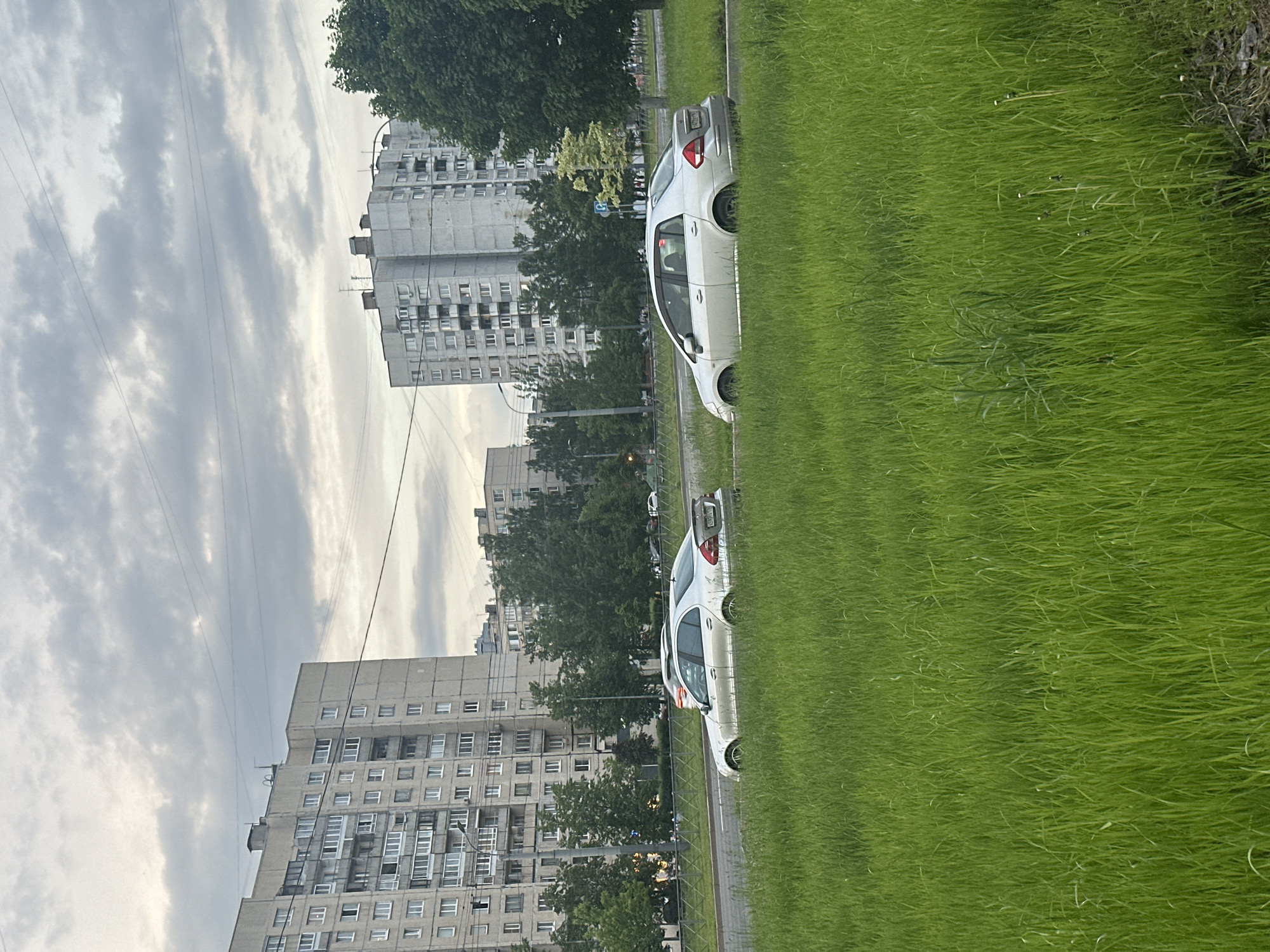 The image depicts an urban environment in the city of Unknown, Unknown, dominated by a large field of green grass in the foreground and multi-story residential buildings under an overcast sky.
The upper portion of the image shows a sky filled with grey, diffused clouds. Several thin, dark utility lines crisscross horizontally and diagonally across the sky.
In the mid-ground, two large, multi-story, light grey concrete residential apartment buildings with numerous windows and some balconies are visible. The building on the left features a partially enclosed balcony section and a flat roof with various vents and antennae. The building on the right, also with a flat roof and similar features, is partially obscured by trees. Additional, more distant buildings are faintly visible through the trees in the background.
A paved road runs horizontally through the mid-ground, with a narrow, grassy median separating the visible lanes. A low, dark metal fence borders the road, separating it from the foreground.
Two silver sedans are parked on the grassy median or shoulder of the road.
The left vehicle is a silver Mercedes-Benz sedan, parked facing right and slightly angled away from the viewer. It features a small spoiler on its trunk lid.
The right vehicle is a silver Nissan Tiida sedan, parked facing left and slightly angled towards the viewer. Its rear license plate, partially visible, displays the characters "X722TB 178".
Numerous deciduous trees with green foliage line the road and are interspersed between and around the buildings in the background.
The lower half of the image is dominated by an expansive field of dense, bright green, unmown grass. Some taller weeds or plants are visible amongst the grass, particularly towards the right side of the foreground.
No individuals are visible in the scene. The overall lighting is soft and diffuse, characteristic of an overcast day.