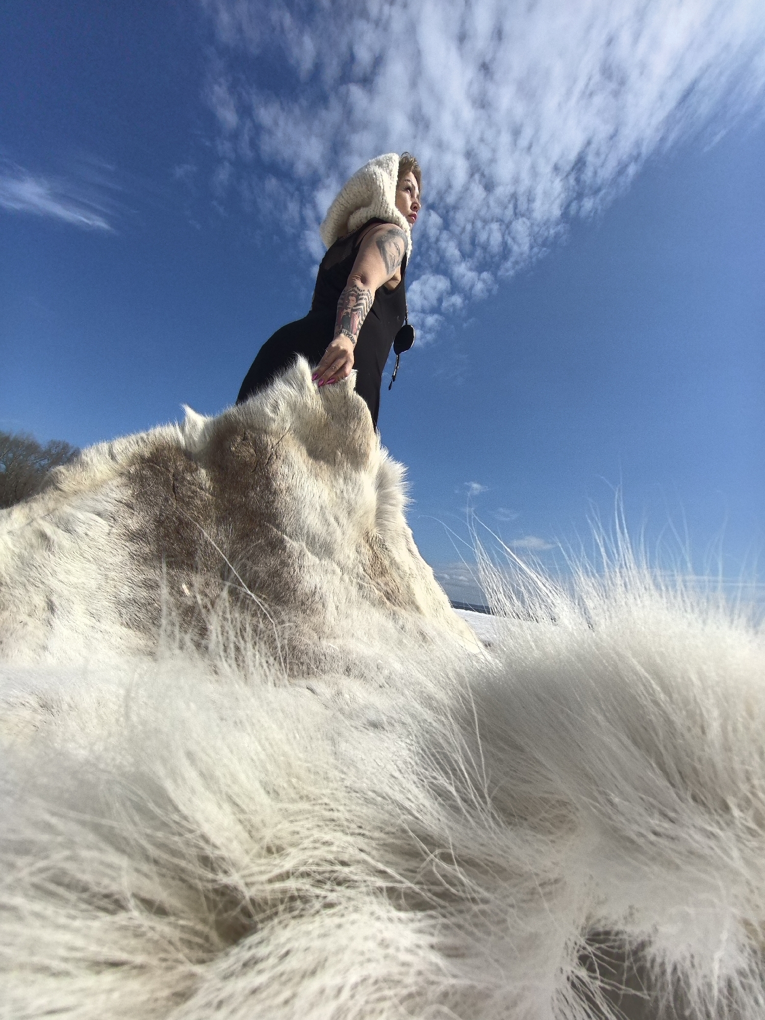 This wide-angle, low-angle outdoor photograph features a woman posing with a large fur spread across a white, possibly snowy, landscape under a vast blue sky. The woman, positioned in the mid-ground on the left, is seen from a low perspective, looking upwards and to the right of the frame. She wears a dark top or dress and a light-colored, possibly knitted or fur, hooded garment. Her left arm is visible, adorned with intricate tattoos, and her hand, featuring pink nail polish, rests on the fur. A small black object, possibly headphones or a pouch, hangs near her shoulder.
The immediate foreground and much of the mid-ground are dominated by a large, textured fur or animal hide, primarily white and light brown with varying patterns. Another patch of very fluffy white fur occupies the extreme foreground, appearing almost abstract due to its proximity to the camera.
The background reveals a brilliant, clear blue sky with scattered white cirrus and cumulus clouds, suggesting bright daylight, likely midday or early afternoon. Hints of a distant, snow-covered landscape or trees are visible on the horizon, beyond the fur. The weather appears sunny and clear, possibly cold, aligning with the attire and fur. The woman's expression is contemplative or serene as she gazes into the distance. There is no visible text in the image. The scene evokes a sense of vastness and connection with a natural, possibly rugged, environment.