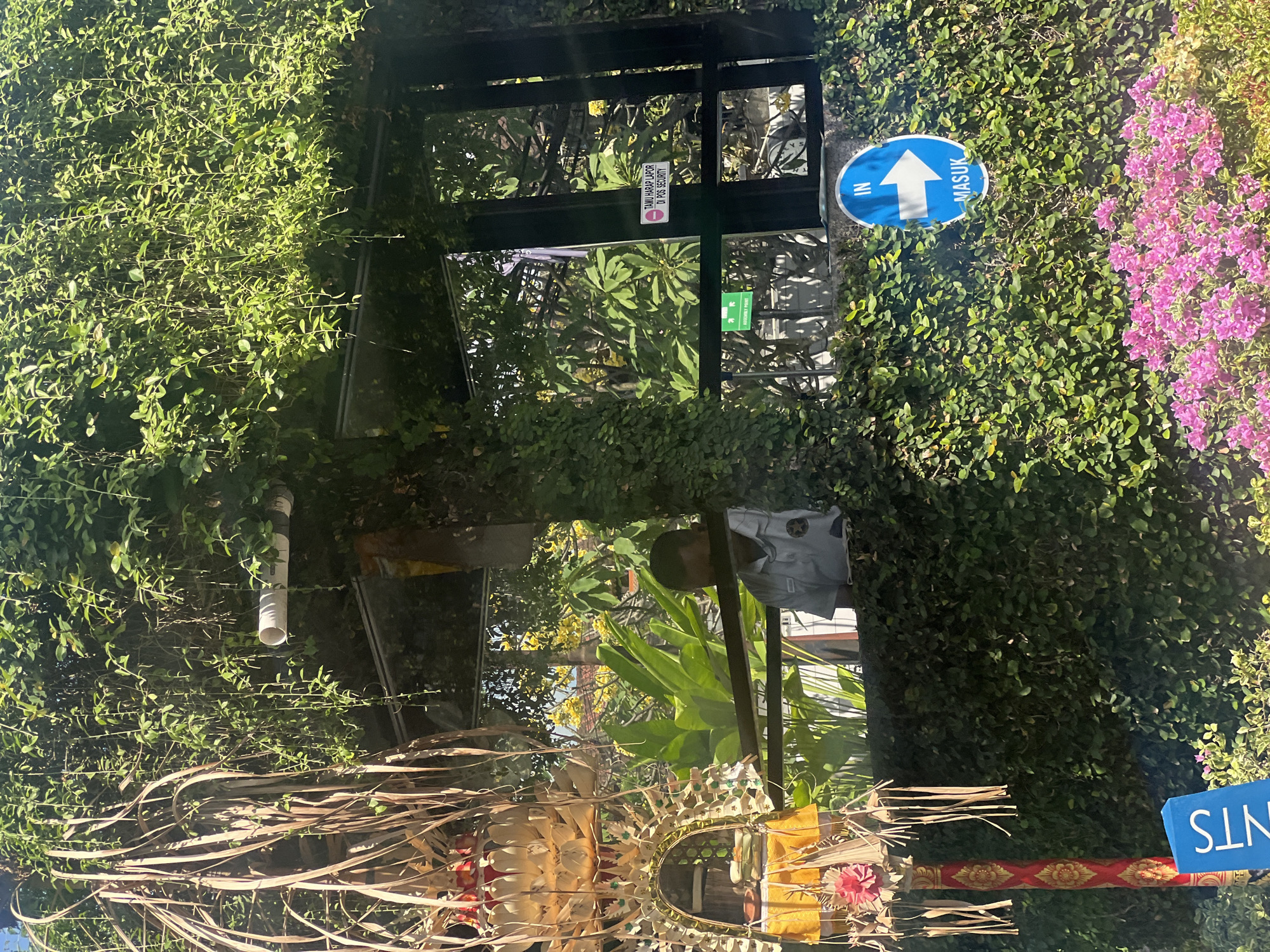The image shows an outdoor scene in Kuta, Indonesia, likely a security post or entrance. A person in a light-colored uniform, possibly a security guard, is partially visible behind a wall covered in lush green vines. In the foreground, a traditional Balinese offering, known as a "canang sari," is displayed on a red and gold pole. To the right, a circular blue sign with a white arrow and the word "IN" and "MASUK" indicates an entrance. In the background, yellow flowers bloom on trees, and other foliage is visible. A white PVC pipe protrudes from the vine-covered structure. Another sign with the text "TAMU HARAP LAPOR DI POS SECURITY" (Visitors please report at the security post) is affixed to a window frame. A small green sign indicating an "ASSEMBLY POINT" is also visible. Pink flowers grow at the base of the vine-covered wall.