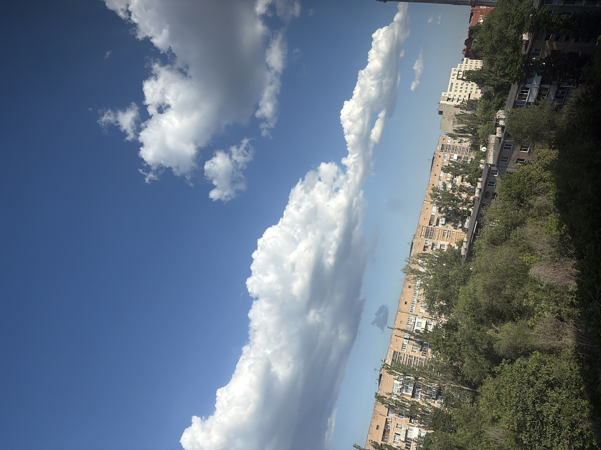 A landscape photograph shows a city skyline with buildings and trees under a bright blue sky with white clouds. The image is oriented vertically, with the sky occupying the left portion of the frame and the buildings and trees on the right.
The sky is a vibrant blue, with several large, fluffy white clouds scattered across it. One particularly large cloud stretches diagonally from the bottom left to the upper right of the image. A few smaller, wispy clouds are also visible.
Below the sky, a line of apartment buildings stretches across the middle ground. The buildings are multi-story structures, appearing to be made of brick and concrete, with numerous windows. Trees with lush green foliage are interspersed between and in front of the buildings, creating a dense line of greenery that partially obscures the lower sections of the apartments. The trees and buildings suggest an urban or suburban environment.
The lighting indicates it is daytime, likely late morning or early afternoon, given the brightness of the sky and the clear visibility of details. The weather appears to be fair and sunny, with the presence of cumulus clouds suggesting a possibility of brief showers, but overall good weather. There is no discernible text in the image. The scene evokes a sense of everyday urban life on a pleasant day.