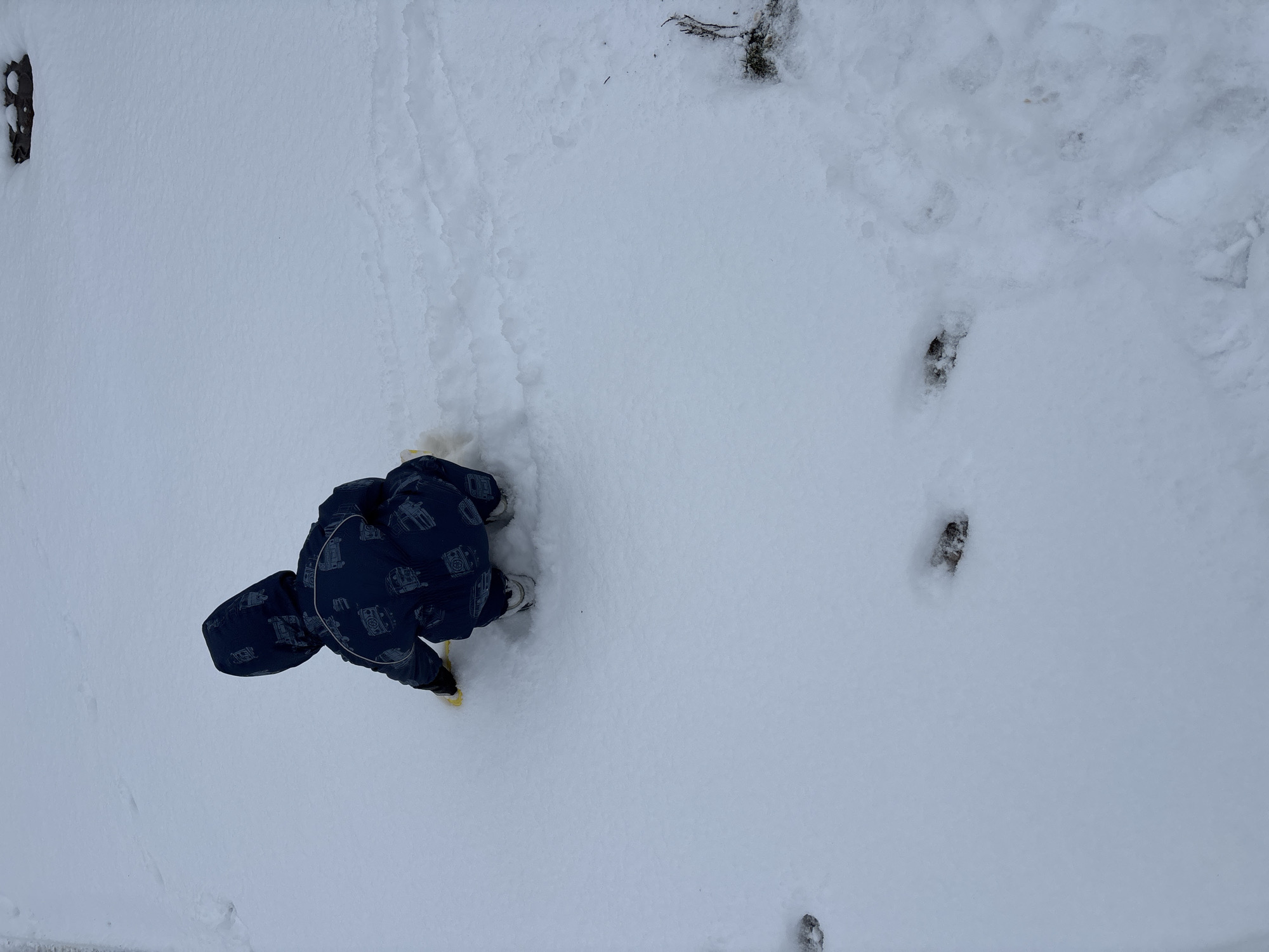A top-down view of a child in a snow-covered area. The child, wearing a blue patterned snowsuit and white shoes, is bent over near the center-left of the frame. The ground is completely covered in snow, with a few scattered dark spots that might be vegetation. Some animal footprints are visible in the upper-right of the frame. The location is Ферма, Russia.
