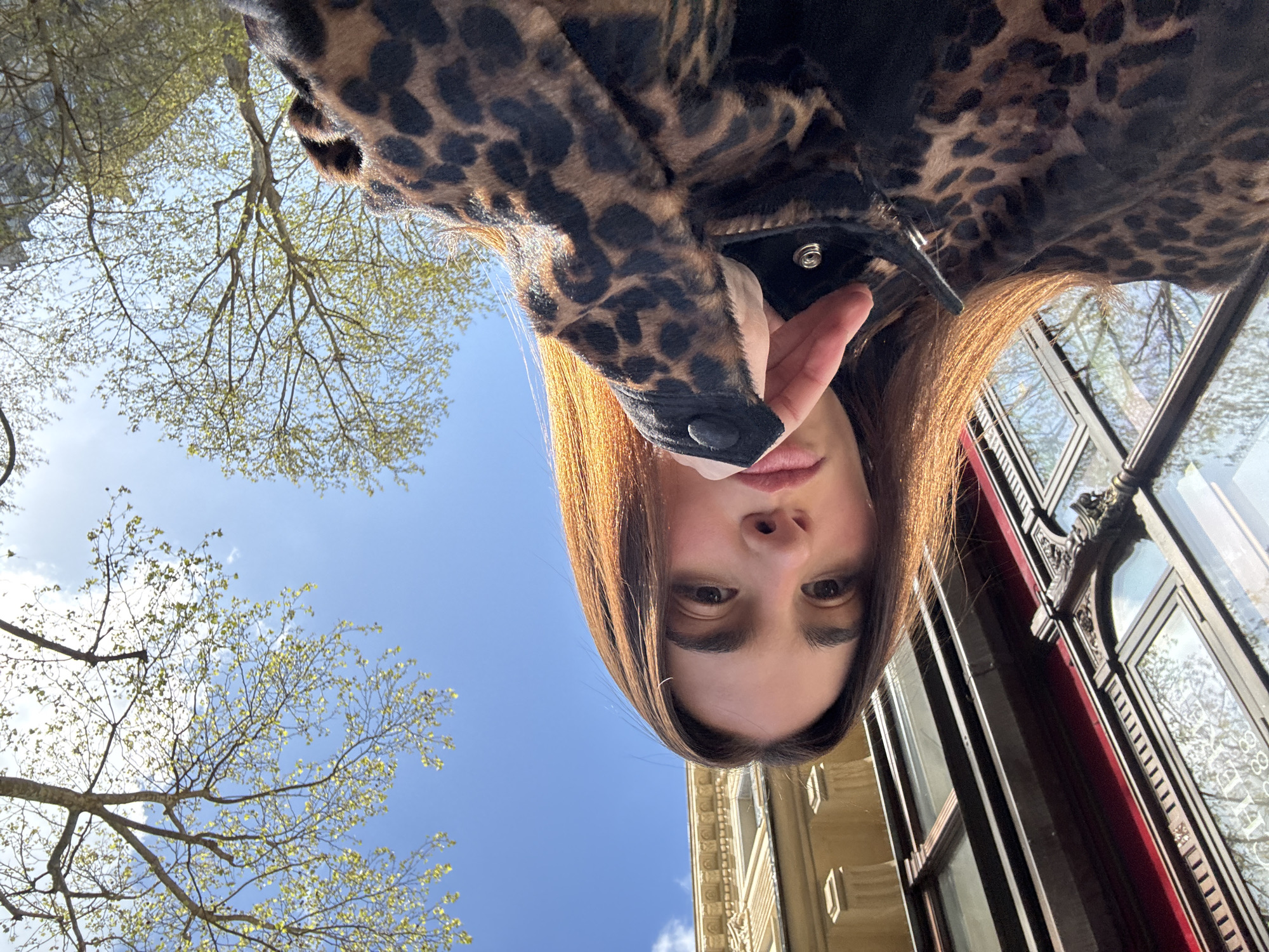 The image is a low-angle selfie featuring a young adult female in the city of Paris, France. The female, centered in the frame, has long, dark brown hair with sunlit highlights, light eyes, and pink lips. She maintains a serious expression, looking directly at the camera. She is wearing a black and brown leopard print jacket, with her right hand raised to her chin, partially obscuring her mouth.
The background to the left displays a traditional Parisian building with dark-framed windows, a red trim, and ornate architectural details. Reflections in these windows show trees and the sky. To the right, a clear blue sky with scattered white clouds is visible above several large trees with nascent light green leaves, indicating early spring. A light-colored classical building is partially visible in the upper right background, beyond the trees. Strong sunlight illuminates the scene from the right.