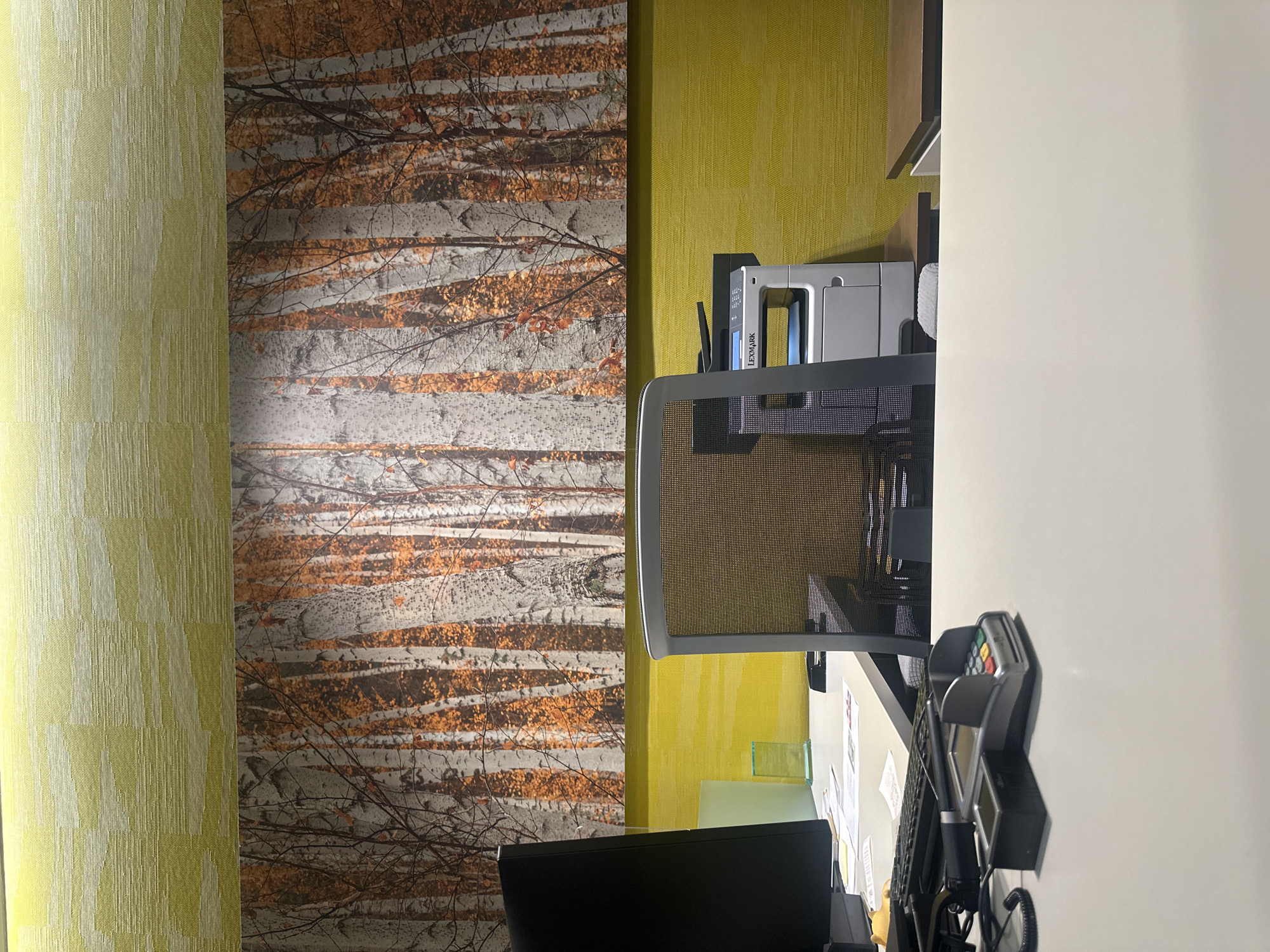 The image displays a static indoor office scene in Mexico City, Mexico. In the immediate foreground, a white desk surface is partially visible, holding a black computer monitor, a black keyboard, a black wired barcode scanner, and a silver payment terminal with a colored keypad. Wires are present connecting these devices. A grey office chair with a mesh back is positioned centrally behind the desk, facing away from the viewer. To the right of the chair, a white Lexmark multi-function printer rests on a dark brown desktop surface. The background wall is bifurcated: the lower section features a bright lime green textured wallpaper with a subtle geometric pattern, while the upper section displays a large mural or wall art depicting a dense forest of white-barked birch trees with sparse orange and brown autumn leaves. Above the wall art, a lighter, pale green textured ceiling or upper wall panel is visible, subtly illuminated. No individuals are present in the scene.