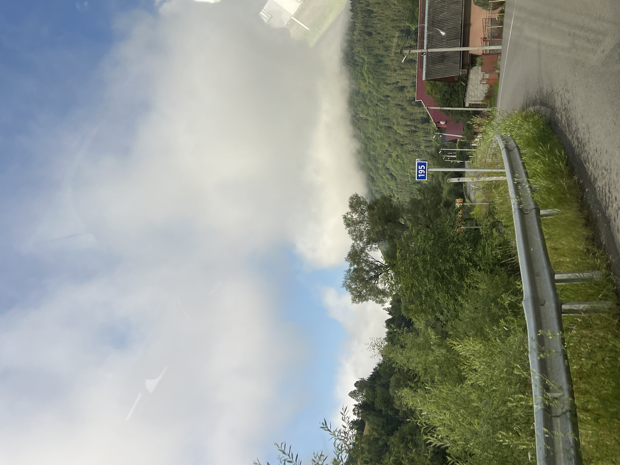 The image depicts a scenic view along a road in Yasinia, Ukraine. In the foreground, a metallic guardrail runs along the side of an asphalt road that curves to the right. Lush green vegetation, including tall grass and leafy bushes, grows abundantly on the left side of the road, with some plants reaching over the guardrail. Further into the scene, a blue sign with the number "195" is posted on a pole. Beyond the road, a cluster of houses with red tiled roofs and various building materials are visible, nestled amongst dense, green trees that cover the rolling hills. The background is dominated by a forested mountainside, with some areas shrouded in low-lying clouds, creating a dramatic contrast with the clear blue sky peeking through in places. The overall impression is one of a rural, mountainous landscape on a partly cloudy day.