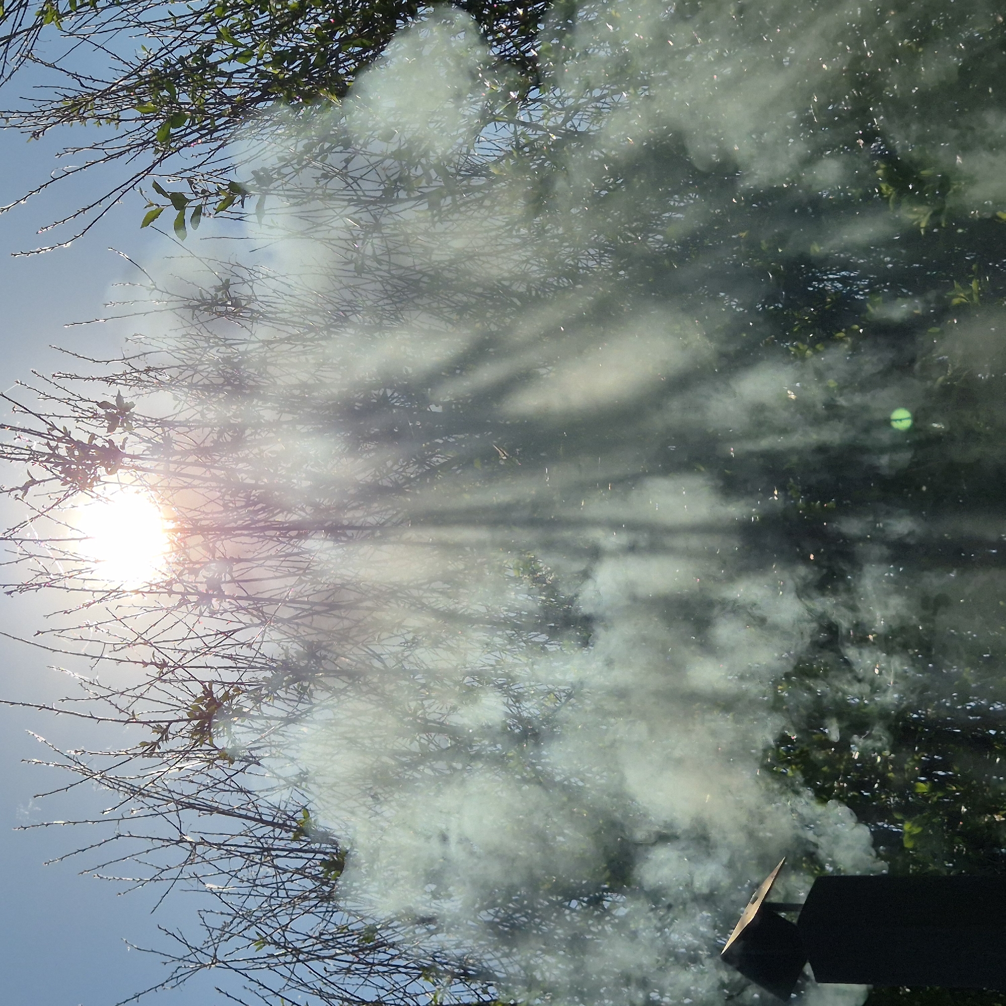 The image depicts an outdoor scene characterized by dense smoke, tree branches, and the sun. A bright, intense sun is positioned in the upper center, emitting strong light that creates visible sun rays filtering downwards through the smoke and vegetation. The sun's light has a warm, slightly reddish-orange hue at its core.
Numerous bare tree branches, some with nascent green leaves or buds, fill the frame, creating a tangled network against a pale blue sky, visible in the upper left and right quadrants. The branches are mostly silhouetted by the backlight.
A large plume of white to light grey smoke originates from the lower left, billowing upwards and spreading across the lower and central portions of the image. The smoke is heavily illuminated by the sun, making its texture and movement prominent. Within the smoke and illuminated air, numerous small, bright specks are visible, likely dust particles, embers, or insects.
In the lower left corner, a dark, angular structure resembling a chimney or exhaust pipe is partially visible. It has a flat, possibly metallic, cap. The smoke appears to be emanating from this structure. No people or animals are visible. The specific location in the city of Новостройка, Russia, cannot be confirmed from the visual information presented in the image.