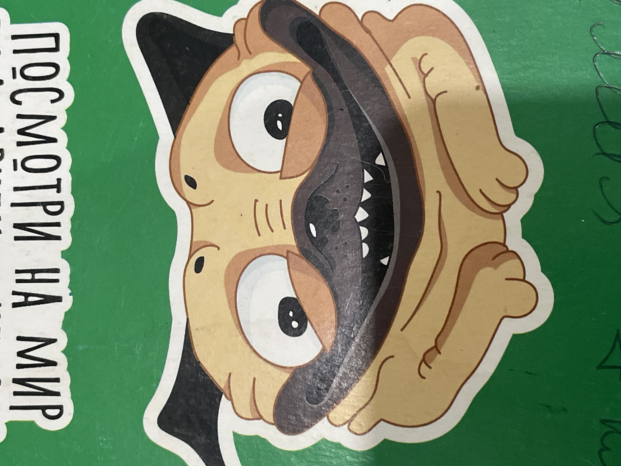 A cartoon pug sticker is the main subject of the image. The pug has large, bulging eyes, a wide, open mouth with visible teeth, and a dark muzzle. The pug's ears are black and triangular, and its body is light brown with darker brown outlines. The sticker is placed on a green surface, which appears to be a wall or a piece of paper. There is text above the pug, which is in Cyrillic script and appears to be a Russian phrase. The image quality is moderate, with some visible texture on the green surface and slight wear on the sticker. The lighting is bright and evenly distributed, suggesting an indoor or well-lit outdoor environment. The location of Denpasar, Indonesia, is not directly depicted or implied by the image's content.