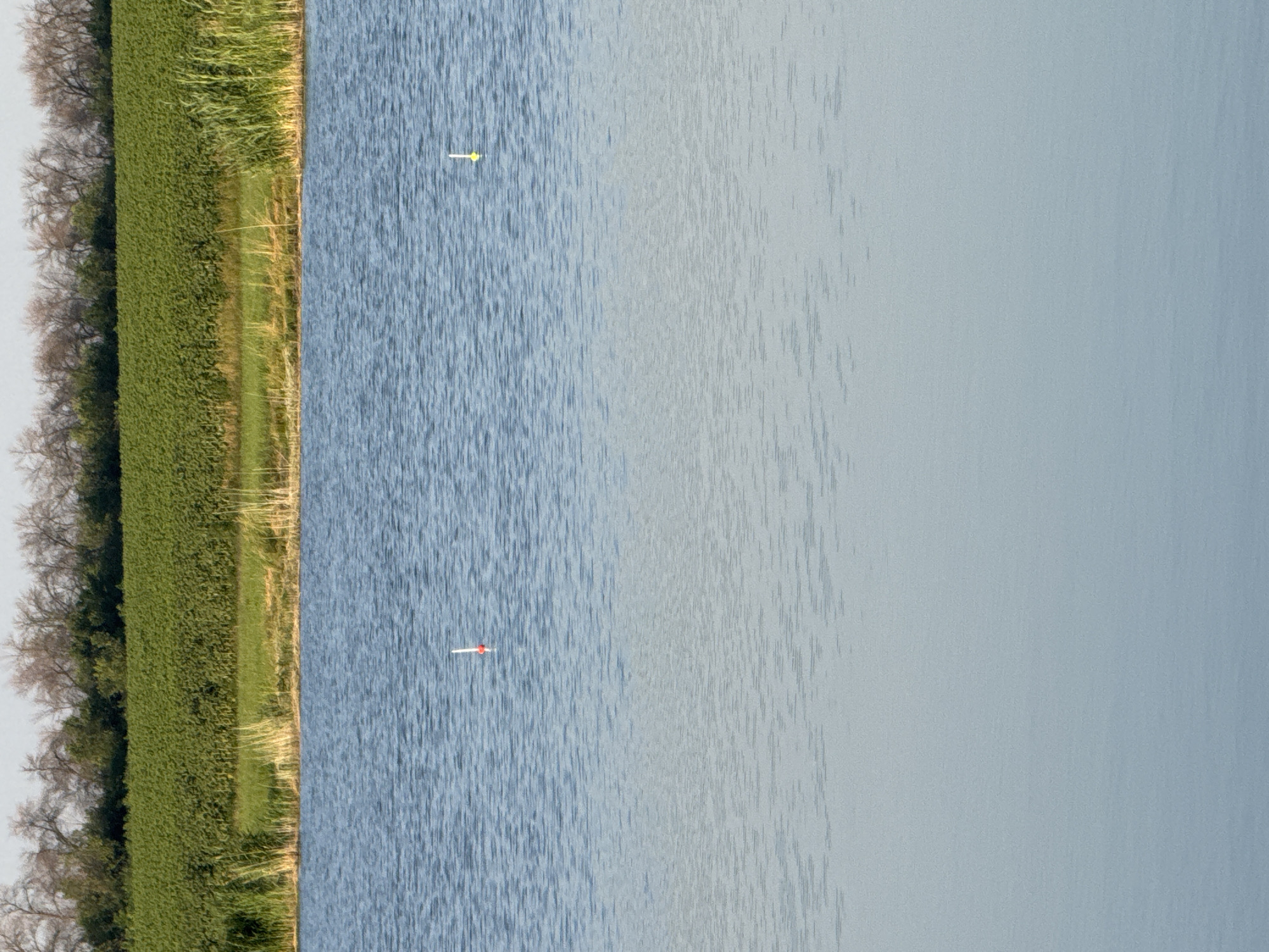 The image depicts a calm body of water, likely a lake or pond, with a green field and trees in the background. Two fishing floats are visible on the surface of the water; one red and white float is closer to the left side of the frame, and a yellow float is further to the right. The water reflects the sky and the surrounding environment, creating a muted, serene atmosphere. The scene appears to be set in an outdoor, natural environment, possibly in or near Tarasivka, Ukraine, given the agricultural landscape.