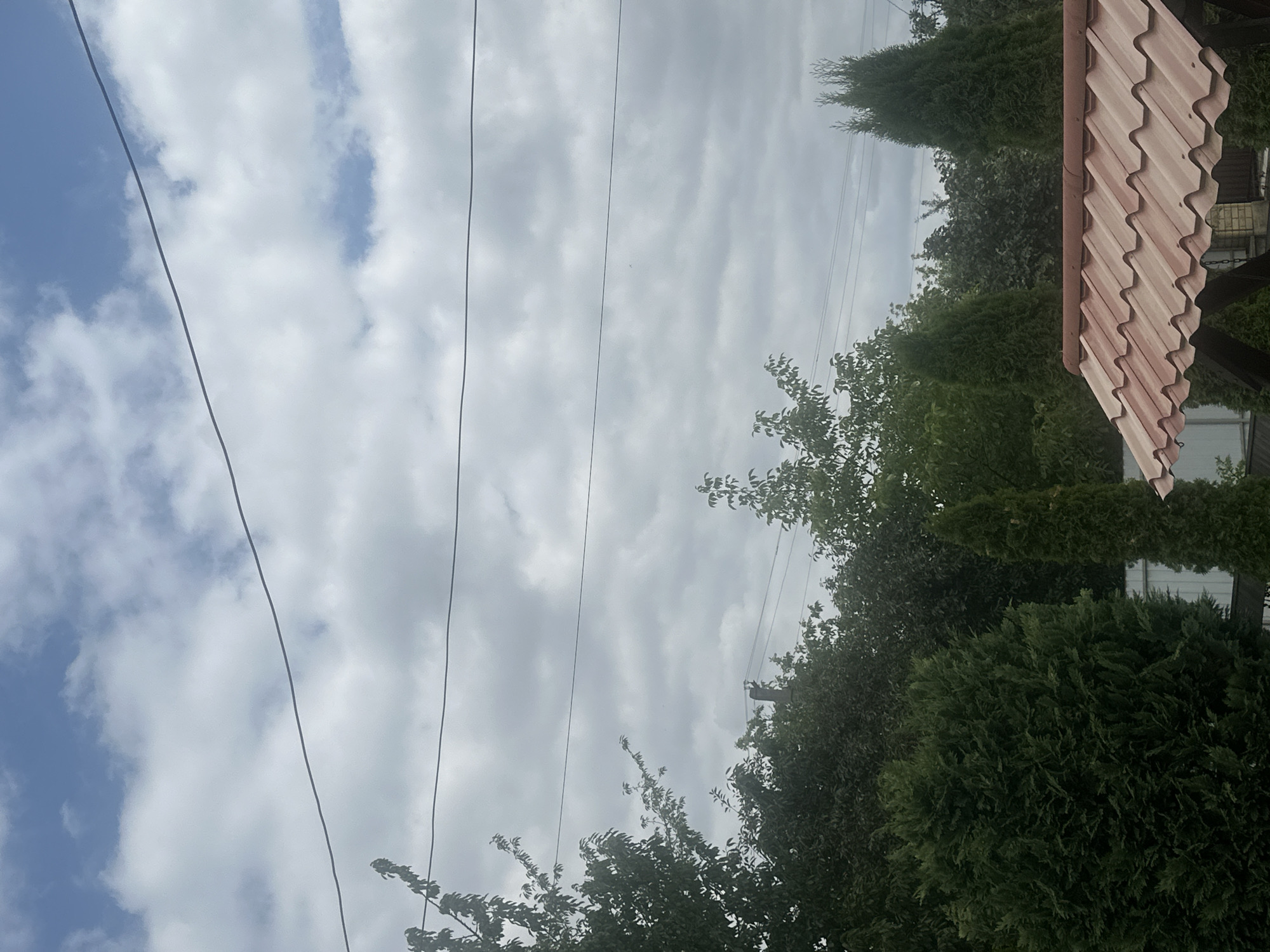 The image depicts an outdoor scene on a cloudy day, likely in Nyzhnii Verbizh, Ukraine. The sky is filled with overcast clouds, with patches of blue visible. Several power lines stretch across the frame. In the foreground, there is a portion of a roof with terracotta-colored tiles, possibly part of a gazebo or small building. Behind this structure, various types of evergreen trees, including a large, rounded shrub on the left and two tall, conical trees on the right, are prominent. In the mid-ground, denser foliage from deciduous trees forms a backdrop. A white fence is partially visible behind the evergreen trees. No people or animals are visible in the image.