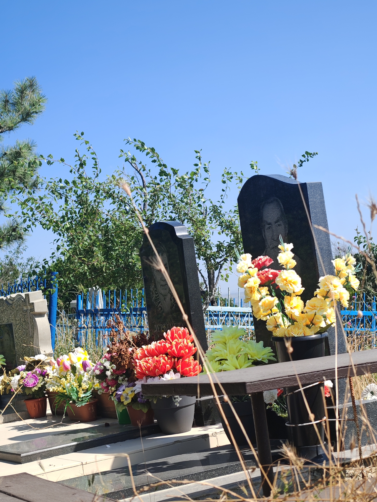 A sunny day in the cemetery of Supsekh, Russia, is depicted in this image. Several gravestones are visible, including two prominent black granite monuments. One gravestone features a portrait of a man etched into its surface. Artificial flowers, arranged in pots, are placed at the base of the gravestones. These flowers include yellow and red varieties. A blue metal fence runs along the background of the scene, separating the graves. The environment is outdoors, under a clear blue sky, with some trees and dry grass in the foreground and background. The scene appears to be a quiet and solemn place, typical of a cemetery.