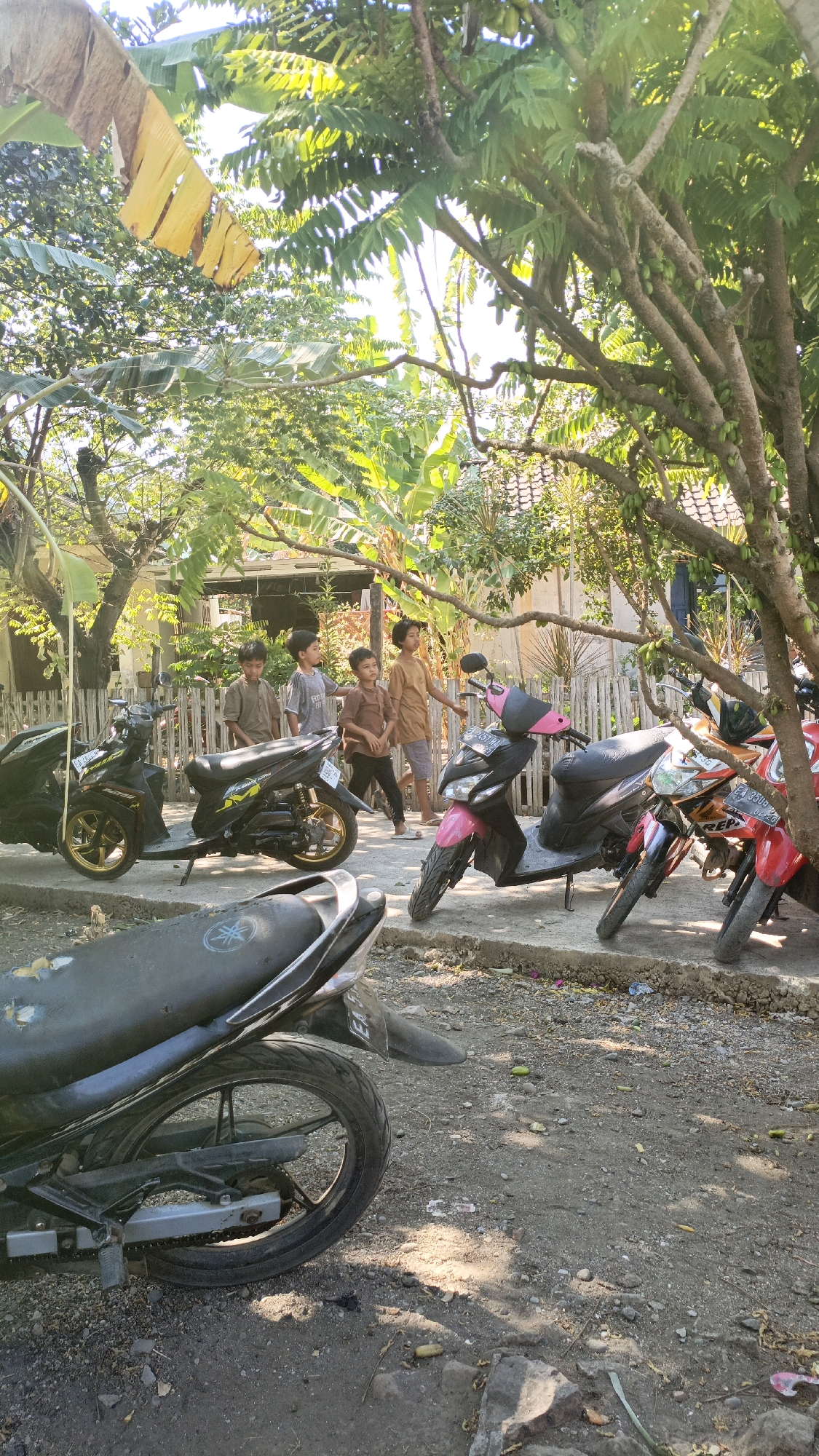 Memory