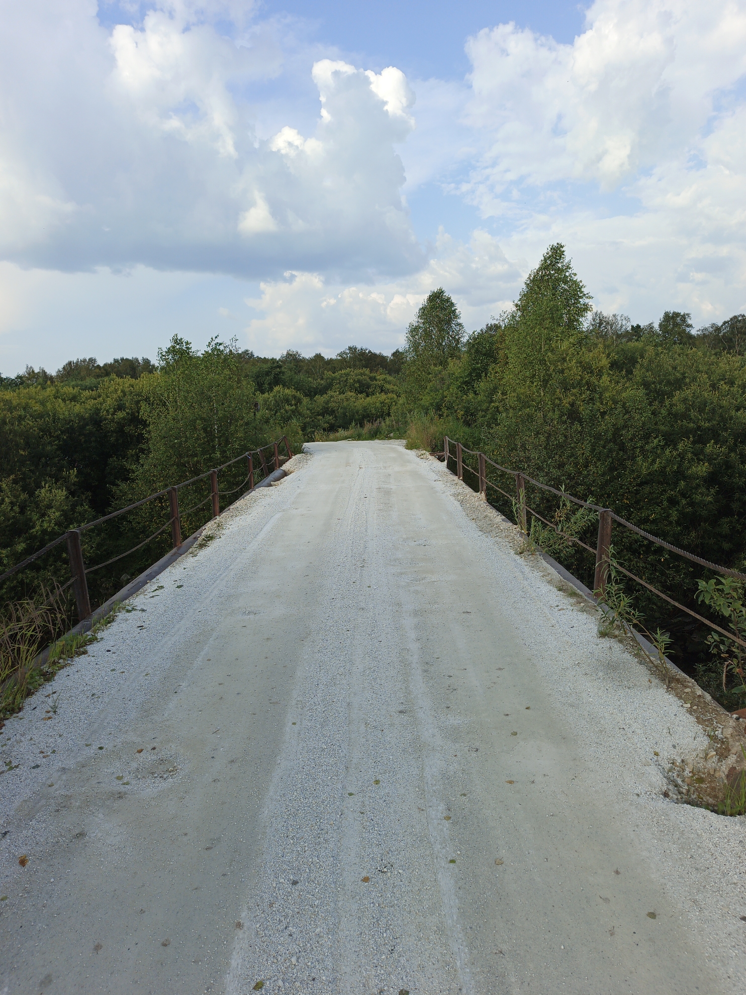 The image shows a narrow, gravel road with a simple metal guardrail on either side, leading into a dense forest. The road surface is uneven and appears to be well-traveled, with tire tracks visible. The guardrails are made of rusty metal posts and taut wire, with some vegetation growing around them. The surrounding forest is thick with green trees, obscuring any view beyond. The sky above is partly cloudy, with patches of blue sky visible between the white, puffy clouds. The overall scene suggests a remote, natural setting, possibly a hiking trail or a back road in a rural area.