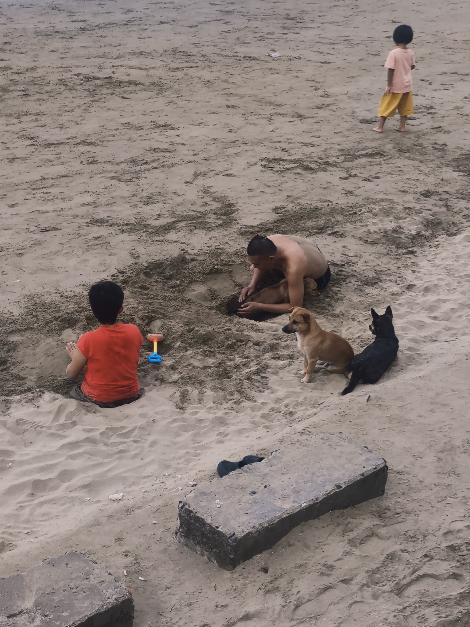 The image depicts a sandy beach environment, likely located in Nha Trang, Vietnam, given the presence of a large concrete block common on its shores. In the foreground, two dogs, one light brown and one black, sit on the sand. Behind them, a shirtless man is partially submerged in a dug-out hole in the sand, with his hands in the sand. To the left, a young boy wearing a red shirt and grey shorts sits in the sand, playing with a yellow and blue toy shovel. Further in the background, another young boy in a light pink t-shirt and yellow shorts stands and looks away from the camera. The beach is covered in sand with footprints and some scattered debris.