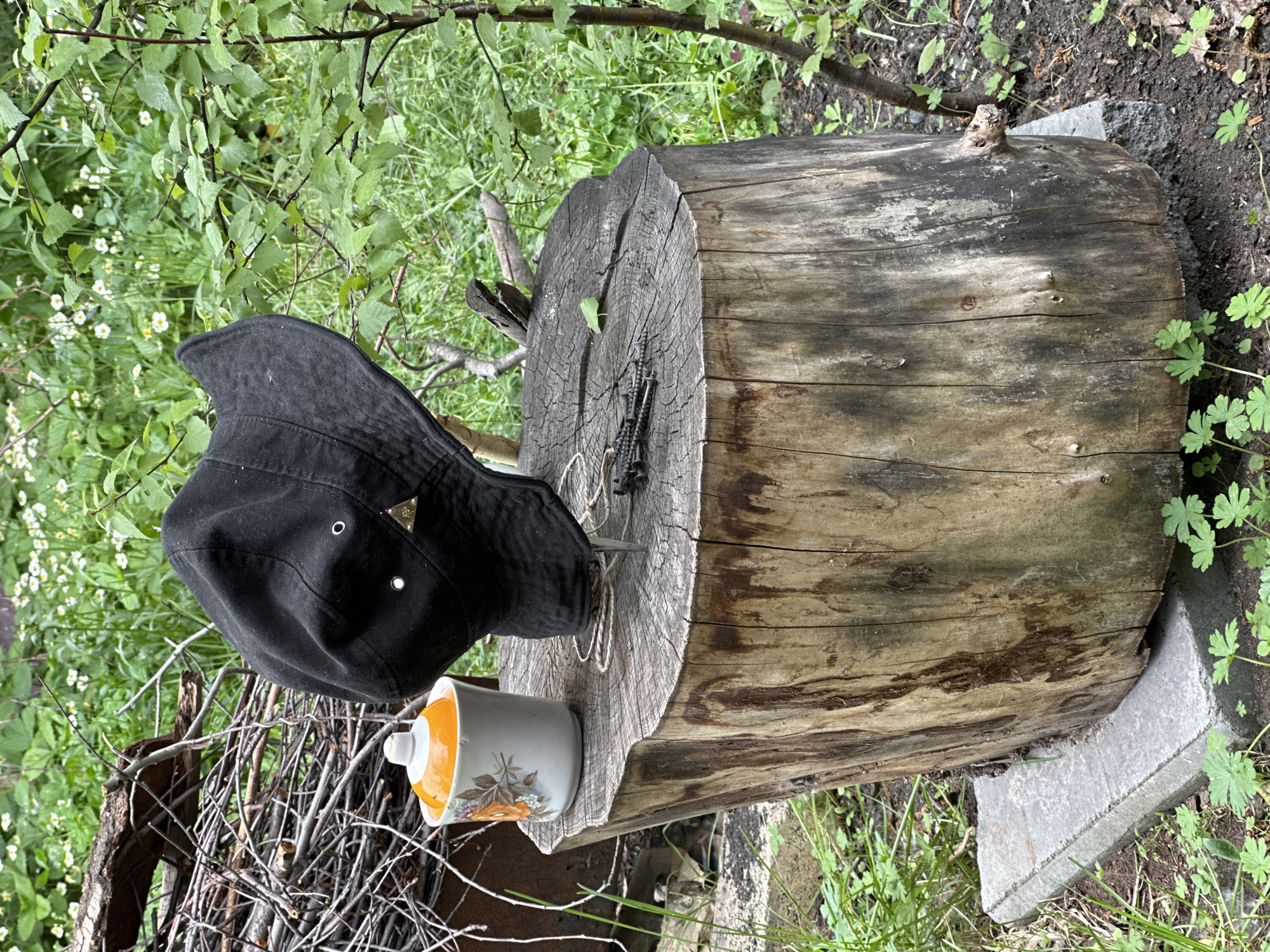 A weathered tree stump serves as a makeshift table in an outdoor setting. A black baseball cap rests on the stump alongside a mug with orange floral motifs. To the right of the stump is some grass. There are a couple of leaves on the wood itself, as well as some metal screws. The location is Biysk, Russia.