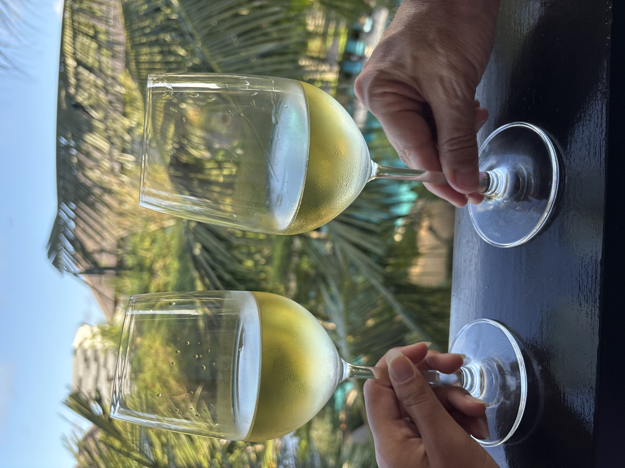 The image displays two hands holding wine glasses filled with white wine, set against a blurred tropical backdrop. The photograph is taken from a slightly tilted, diagonal perspective. An adult male hand, with visible knuckles, holds the upper glass, while a more slender female hand holds the lower glass. Both wine glasses are clear, stemmed, and show significant condensation and water droplets on their exterior, indicating the wine is chilled. The wine itself is a pale yellow-green hue.
In the background, out-of-focus lush green foliage, likely palm trees, and patches of bright blue sky are visible, suggesting an outdoor, sunny daytime setting in Kuta Selatan, Indonesia. A dark, reflective surface, possibly a wooden railing or table edge, runs diagonally across the lower right and upper left of the frame, providing a dark contrast to the bright background and glasses. The brand "Ocean" is faintly visible on the base of the lower wine glass. The scene evokes a relaxed or celebratory moment, enjoying a refreshing drink in a warm, tropical environment.
