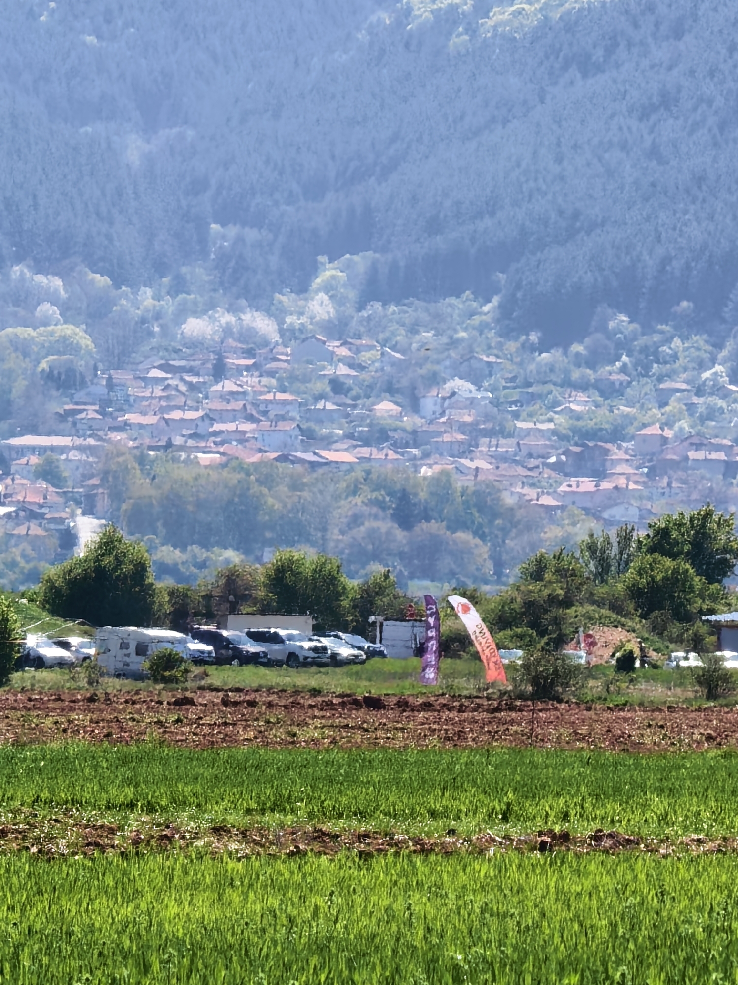 The image depicts a landscape near Sapareva Banya, Bulgaria, featuring a field in the foreground divided into alternating strips of bright green vegetation and reddish-brown soil. A line of parked cars and a recreational vehicle are visible beyond the field, partially obscured by trees and shrubs. Behind the parking area are two tall, colorful flags. In the background, a dense settlement of buildings with red-tiled roofs is situated on a hillside, leading to a heavily forested mountain. The overall scene presents a rural setting with a mix of cultivated land, temporary structures, and a residential area set against a mountainous backdrop.