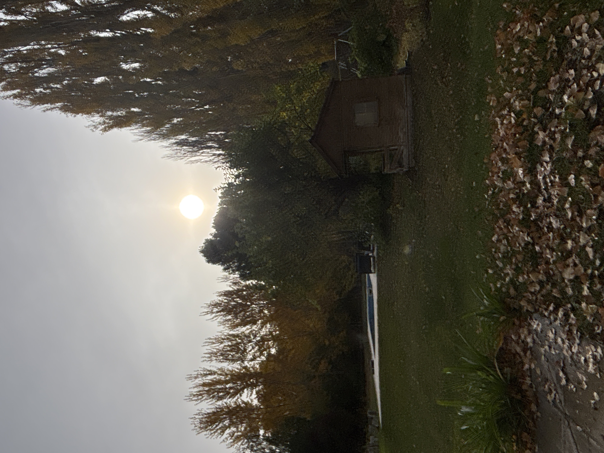The image shows an outdoor scene. In the background is a bright sun shining through a hazy sky. The scene appears to be in a wooded area, with trees visible on both sides. There's a small shed situated on a grassy area, near a pool. Fallen leaves are scattered on the ground. Given the information provided, the location is Trelew, Argentina. There are no people visible in the image.