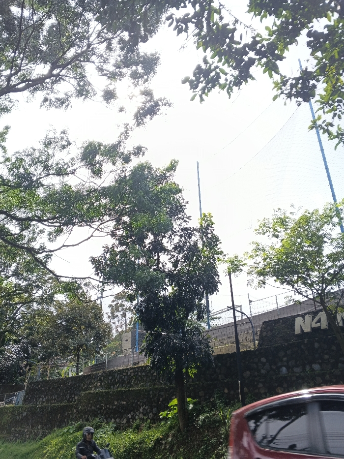 This outdoor image captures a roadside scene in Carcar, Philippines, under bright daylight. The sky is largely visible and illuminated by strong sunlight filtering through the dense green canopy of trees that frame the top and left portions of the frame.
The central part of the image features a multi-tiered, stone-faced retaining wall, supporting an elevated area. On top of this wall, a sports facility is visible, characterized by tall, slender poles (some appearing blue or grey) and a white netting that stretches across the upper background, possibly indicating a tennis or multi-sport court. A dark utility pole also stands near the retaining wall.
At the base of the retaining wall, lush green grass and vegetation grow. In the lower left, a person on a motorcycle, wearing a dark helmet and jacket, is partially visible, moving along what appears to be a road or pathway. The front right quarter of a red car is prominently displayed in the lower right corner, suggesting the photograph was taken from or near a moving vehicle.
On the upper section of the stone retaining wall, large white letters "N4 M" are visible, suggesting part of a sign or a name, possibly "N4 MAL..." or similar. The overall setting combines natural elements with urban infrastructure and recreational facilities. The time of day appears to be sunny, with no indication of clouds or adverse weather.