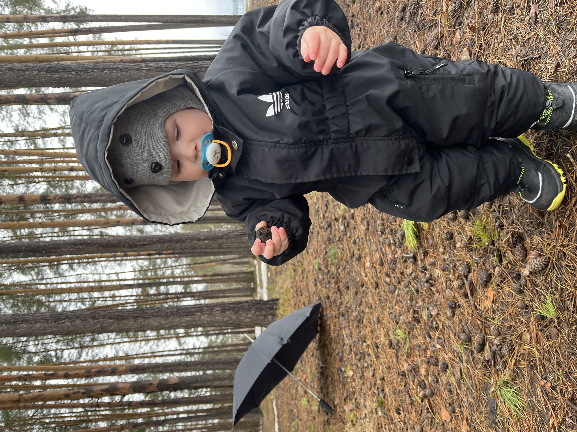 A young child in a black snowsuit and gray knit hat stands outdoors in a forest landscape. The child holds a dark, round object in their right hand and has a pacifier in their mouth. An open, black umbrella lies on the ground nearby. The ground is covered in pine needles and cones. Bare trees stand in the background. The location is likely a forest area within the city of Chaikovsky, Russia.