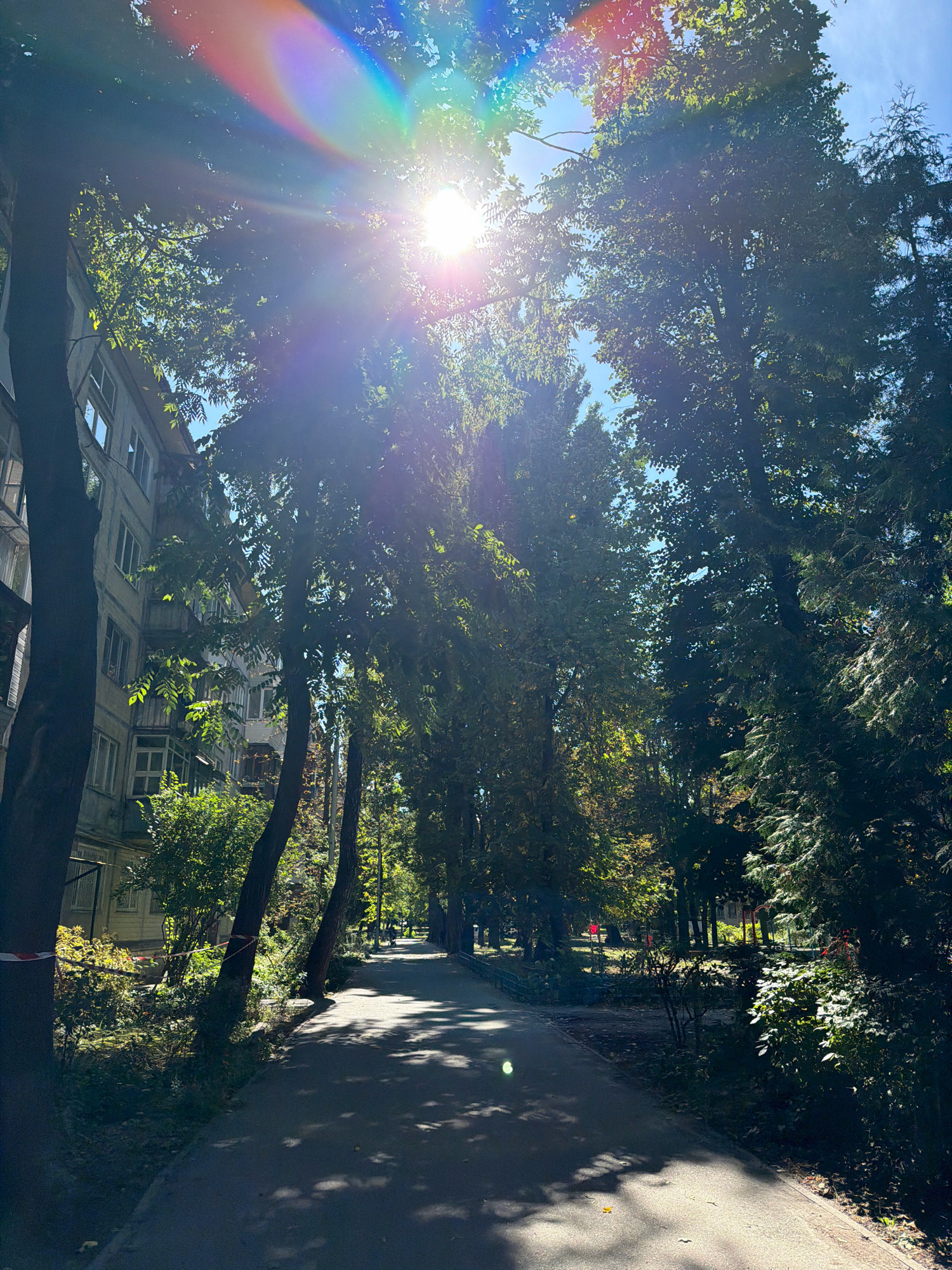 A sunlit pathway winds through a tree-lined area adjacent to a multi-story apartment building in Kyiv, Ukraine. The sun, positioned high in the sky, creates lens flare with spectral colors and casts dappled shadows across the asphalt path. On the left, a grey apartment building with numerous windows and balconies is partially obscured by the dense foliage of trees. The pathway itself is empty of people in the foreground, but a few figures are visible walking in the distance. The environment appears to be a public space, possibly a park or a residential courtyard, with well-maintained trees and some undergrowth bordering the path. The season appears to be late summer or early autumn, given the lush green of the leaves and the bright sunlight.