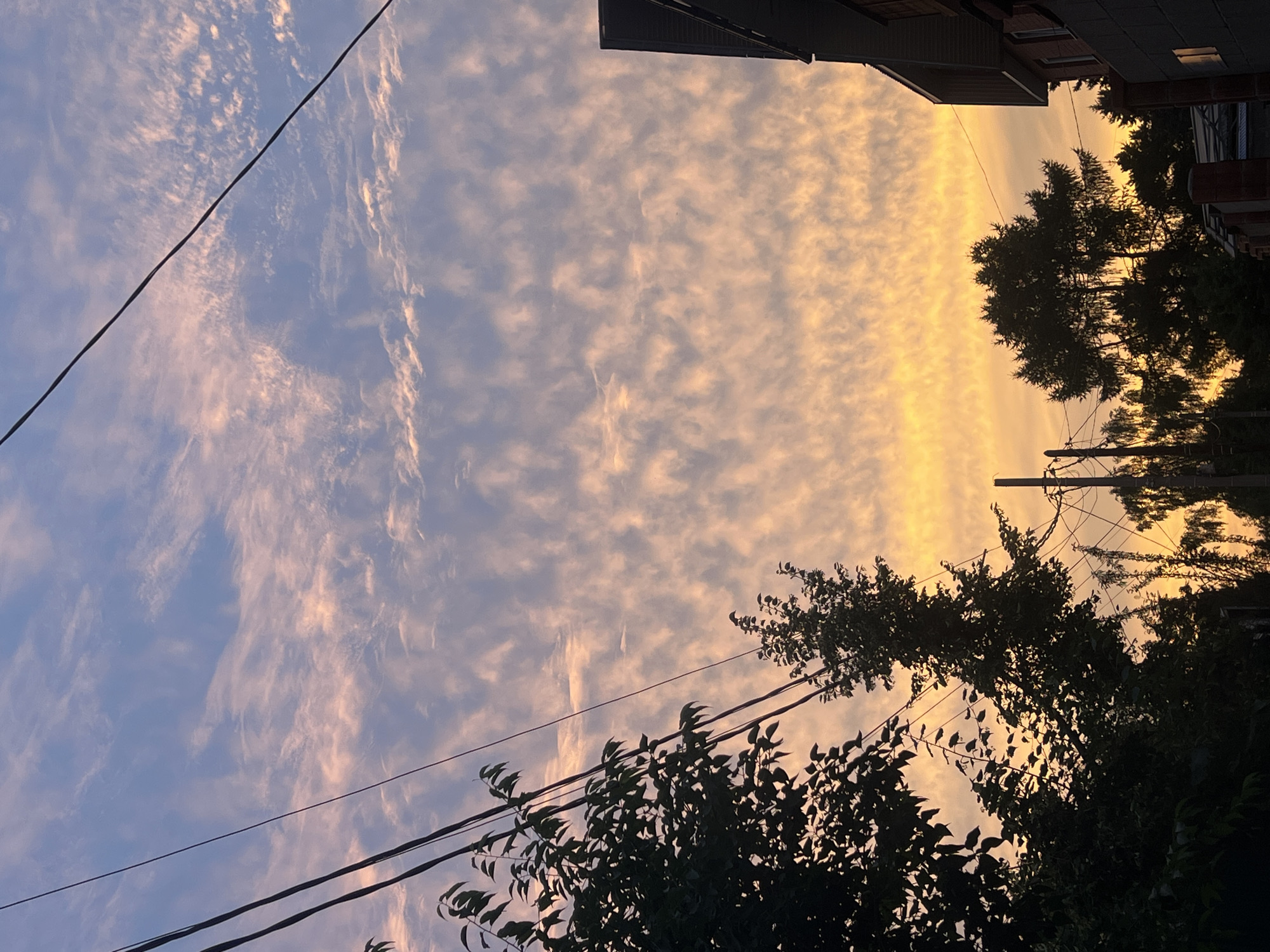 The image depicts a sky filled with patchy, cloud formations illuminated by the warm hues of a sunset, transitioning from orange near the horizon to lighter shades of pink and blue towards the top. Silhouetted against this dramatic sky are the dark shapes of trees, power lines, and a portion of a building on the right side. The building appears to be made of brick with a dark roof. The overall scene suggests a residential or suburban area at dusk. The specific location in Irkutsk, Russia, cannot be determined from the visual information alone. There are no people or discernible actions occurring in the image.