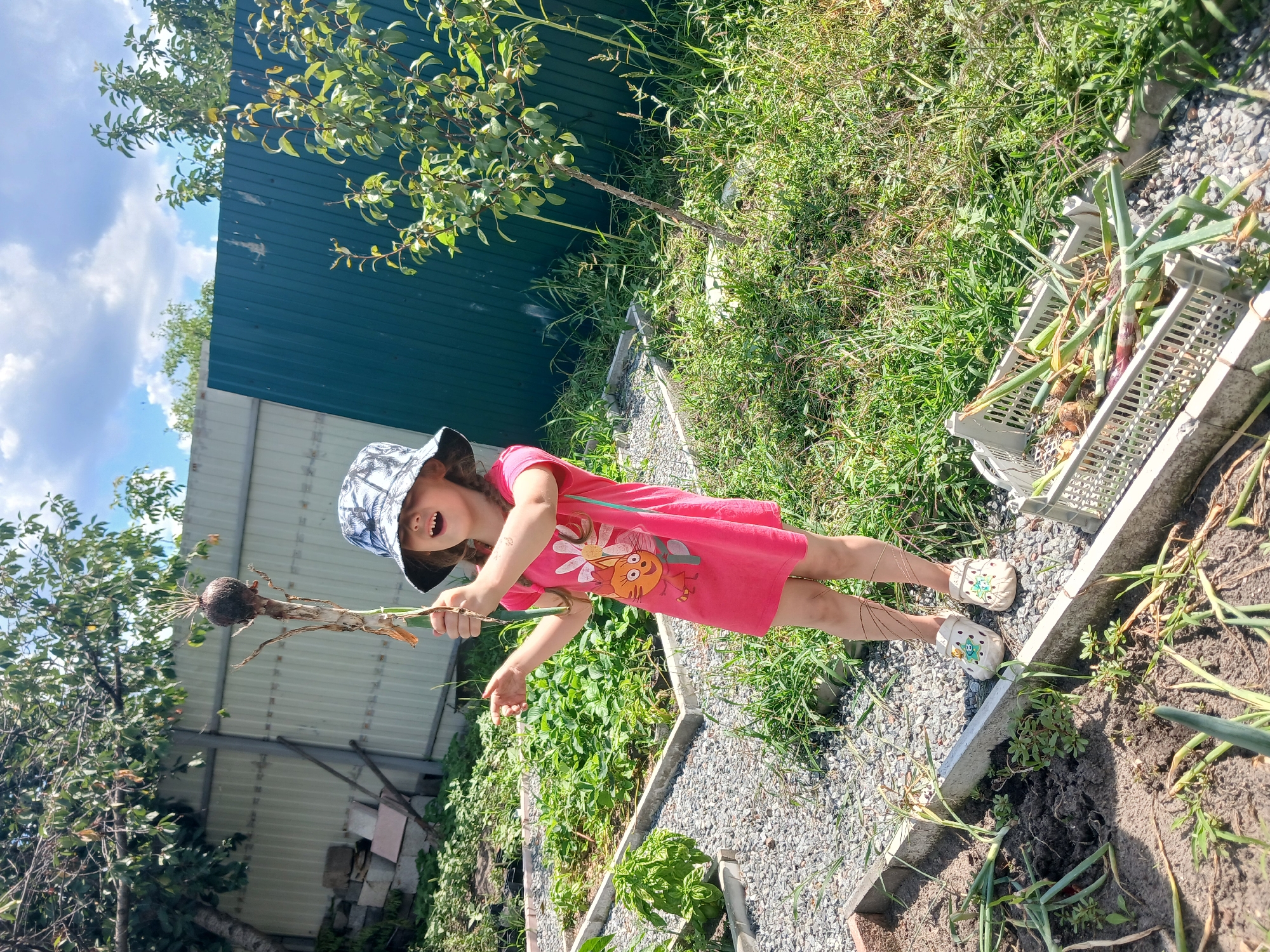 A young girl wearing a bucket hat and a pink dress stands in a garden, holding a harvested onion stalk with an onion bulb attached. She is smiling broadly. To her right, a white crate is filled with harvested onions. In the background, a white fence and a dark green corrugated metal fence enclose the garden. The ground is covered with gravel and grass, and there are raised garden beds with green plants. The scene suggests a harvest taking place outdoors in a residential area of Maslova Pristan', Russia.