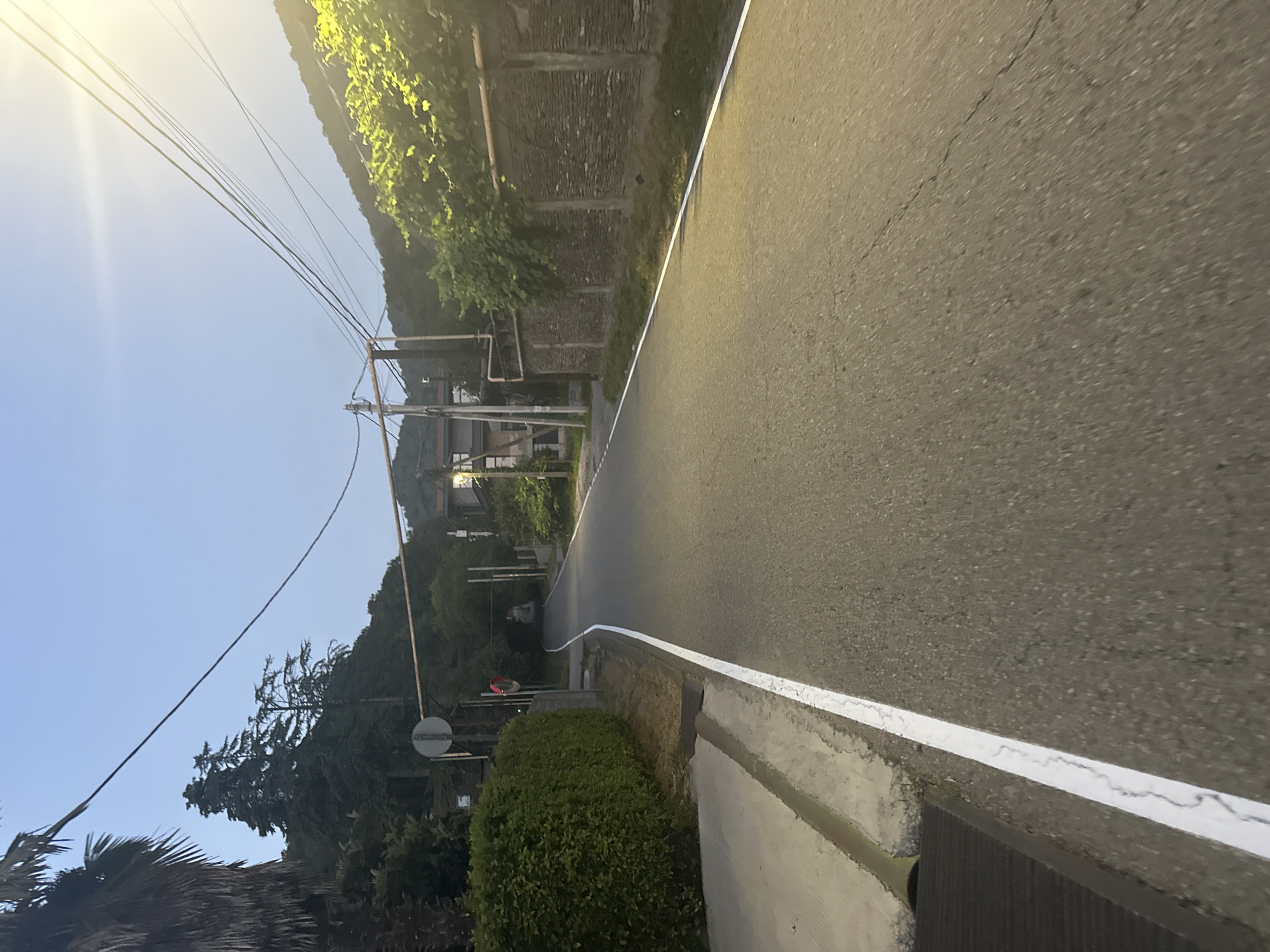 The image depicts a straight asphalt road in Sochi, Russia, under a clear, light blue sky, likely during either dawn or dusk due to the soft lighting. The road is bordered by a white line on the right. On the left side of the road, a neatly trimmed green hedge runs along a concrete sidewalk. Beyond the hedge, palm trees and other lush green vegetation are visible. A circular sign with a red border is posted on a pole near the hedge.
Further down the road, a series of utility poles and wires traverse the scene, indicating the presence of infrastructure. Buildings, some with balconies, are nestled amongst the trees on either side of the road, suggesting a residential area. A stone wall with a concrete cap runs along the right side of the road, partially obscured by green foliage. The road appears to ascend slightly into the distance, leading towards a densely wooded hill. The overall impression is of a peaceful, suburban street in a green, hilly landscape.