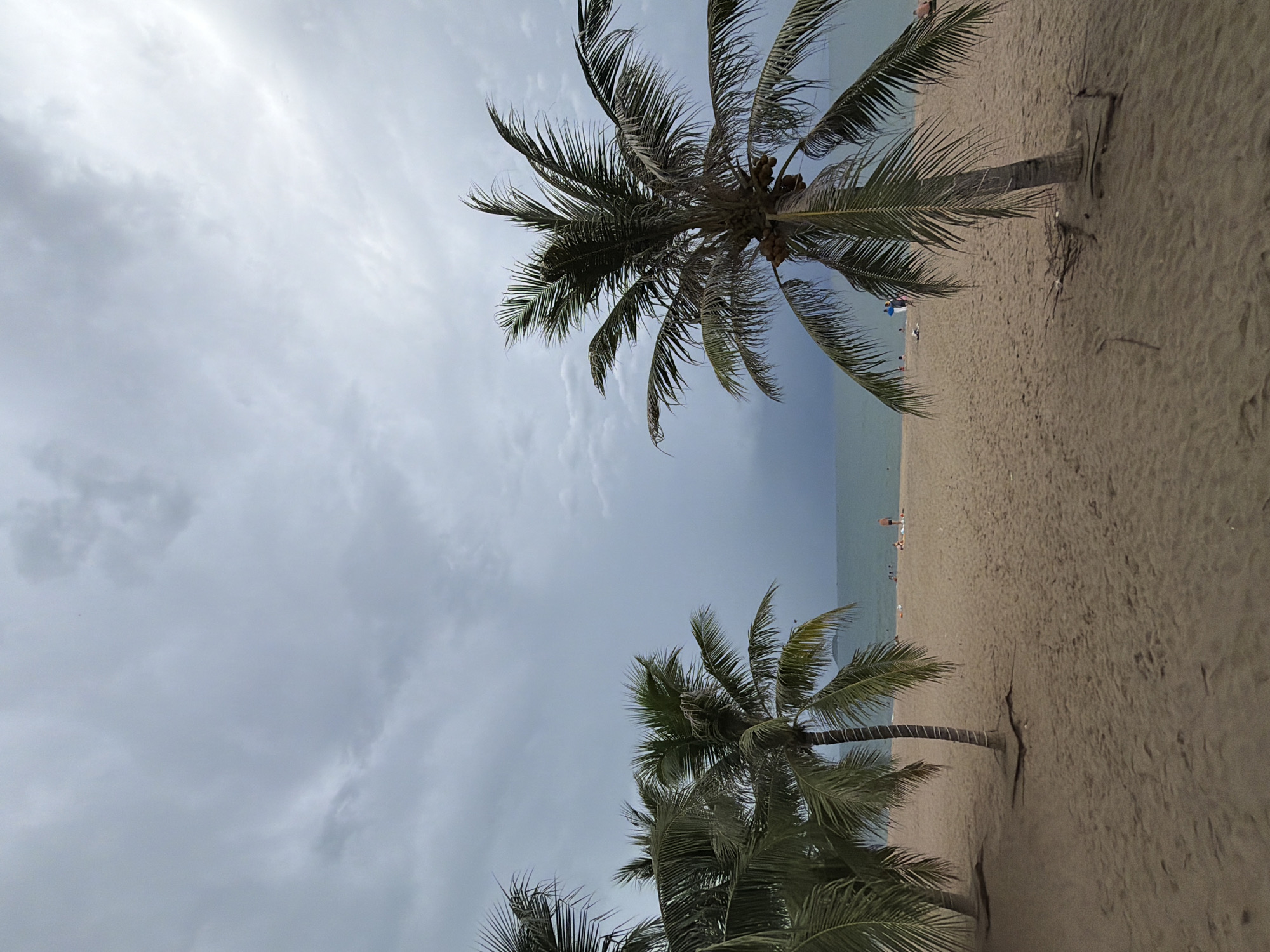 This image depicts a beach scene in Nha Trang, Vietnam, under a cloudy sky. The foreground is dominated by sand, with several palm trees casting shadows. The ocean is visible in the background, with a few people scattered on the beach and in the water. The sky is filled with a thick layer of grey clouds, suggesting the possibility of rain. The overall atmosphere is somewhat subdued, likely due to the overcast weather. The presence of palm trees and the ocean clearly indicates a tropical coastal environment.