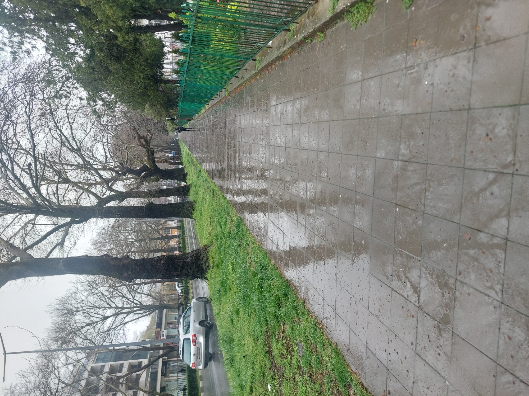 The image depicts a wet, tiled sidewalk in Asenovgrad, Bulgaria, likely after a rainfall. A green metal fence runs along the upper edge of the sidewalk, separating it from a park or green space with deciduous trees. Below the sidewalk is a strip of grass bordering a street with parked cars and buildings. The sky is overcast. A solitary pedestrian is walking in the distance along the sidewalk.