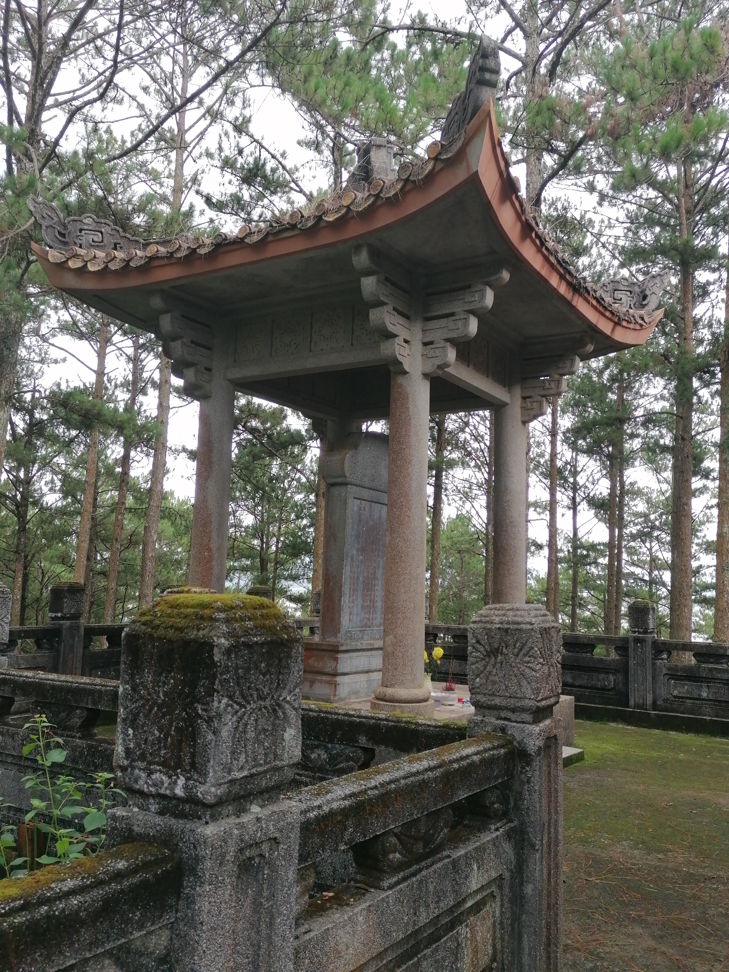 An aged stone pavilion, possibly a shrine or memorial, stands prominently amidst a grove of tall pine trees under an overcast sky. The pavilion features a distinctive curved, multi-tiered roof with reddish-brown tiles and decorative carvings at its corners. It is supported by four robust, cylindrical stone columns. Inside the pavilion, a large, upright rectangular stone stele, likely a monument or tombstone, is visible, appearing to have carved text, though it is not legible.
The pavilion is surrounded by a low stone balustrade or fence, made of dark, weathered stone heavily covered in green moss and lichen, indicating age and a humid environment. Some of the balustrade's posts feature carved patterns. The ground within the fenced area is sparsely covered with grass and moss. Small green plants grow near the balustrade in the foreground. A small pot with yellow flowers, seemingly an offering, rests inside the pavilion near one of the columns.
The background is dominated by a dense stand of tall, slender pine trees, their branches visible against the bright, diffused light of the overcast sky. The overall scene suggests a quiet, contemplative, and historically significant location, possibly a temple ground or a burial site, located in Cam Ly - Đà Lạt, Vietnam. There are no people visible, and no specific activity is taking place beyond the implied act of reverence through the floral offering. The light suggests it is daytime, but the lack of direct sunlight indicates cloudy weather.