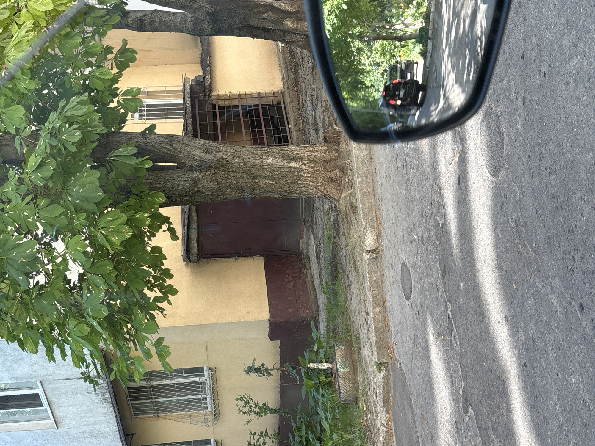 The image captures a scene from a car, looking towards a yellow building with a brown-painted base. A large tree with green leaves stands in front of the building, its trunk thick and textured. The building has several windows, some with metal grates, and a brown door. To the left of the tree, there are some smaller plants, one in a tire planter. The foreground shows a cracked asphalt road with sunlight casting shadows. In the car's side mirror, two black cars are visible driving on the road, surrounded by green trees. This scene is consistent with a residential area in Chișinău, Moldova, characterized by multi-story buildings, trees lining the streets, and the condition of the asphalt.