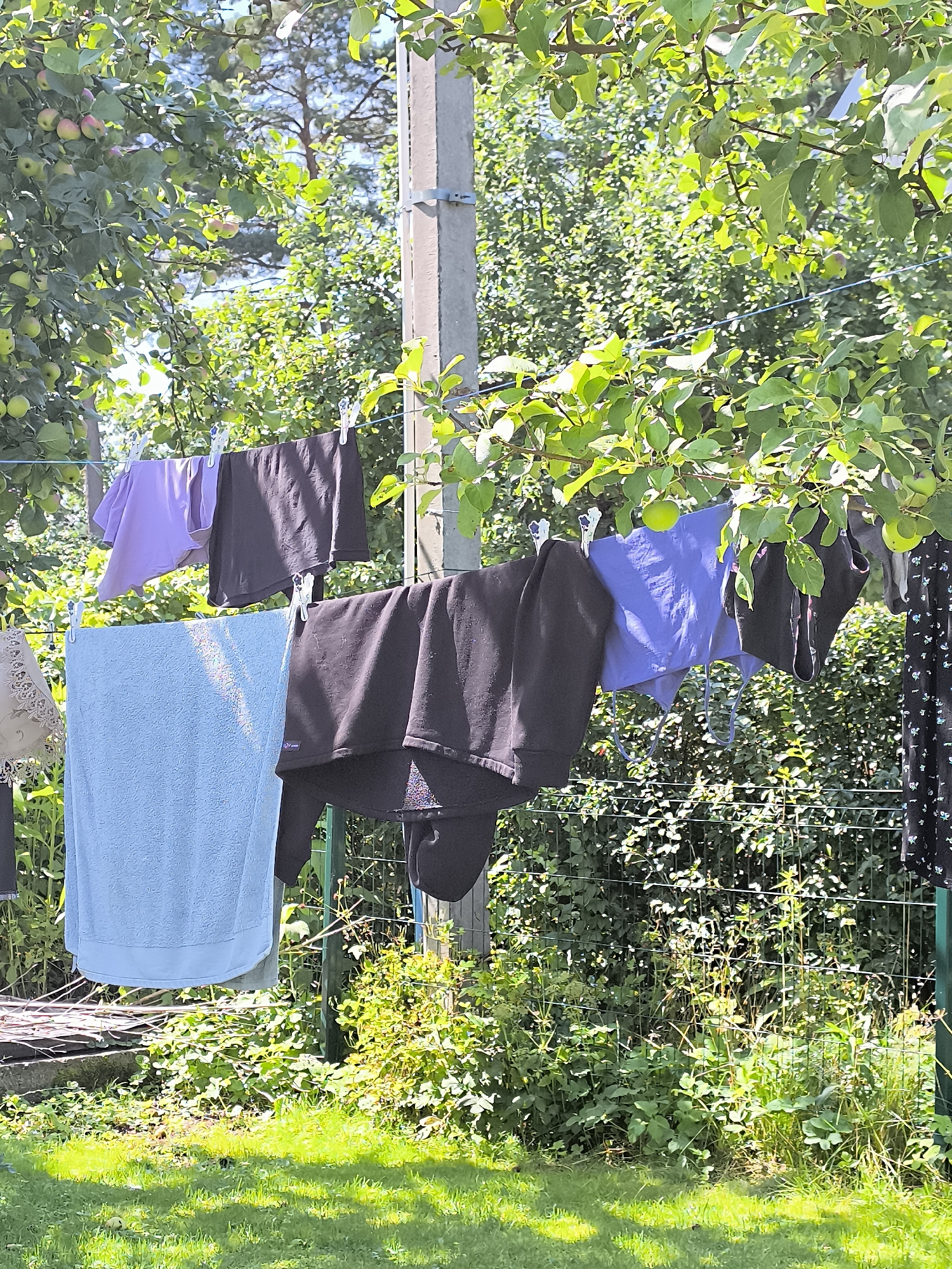 A clothesline hangs between two poles in a backyard setting in Dercekliai, Lithuania. Laundry is suspended from the line by clothespins. The clothing includes a light blue towel, a dark blue garment, a black garment, and a black patterned dress. Green foliage from trees and bushes surrounds the scene, with sunlight casting shadows on the grass.