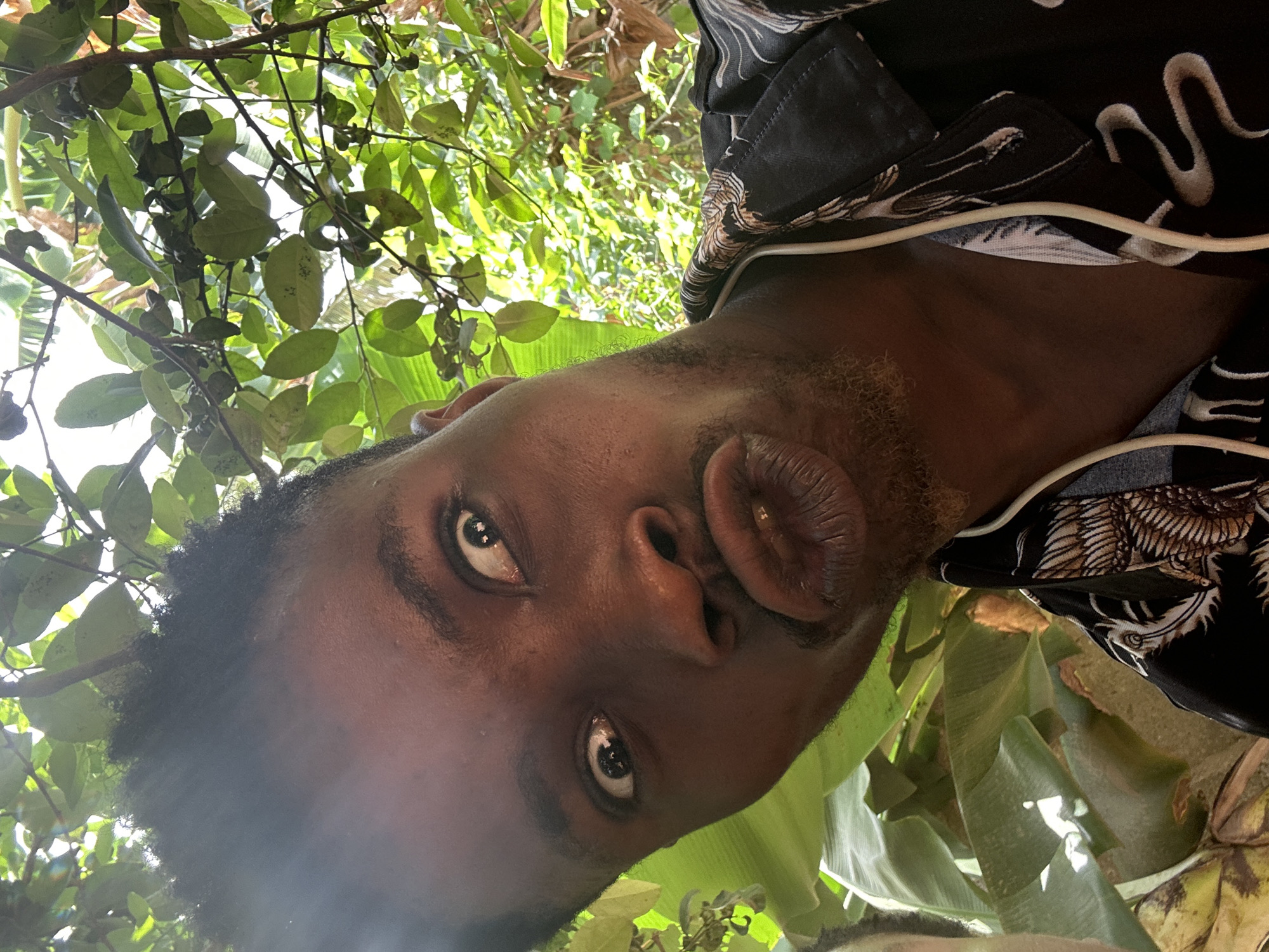 A close-up, low-angle selfie captures a Black man with dark skin, his face contorted into a "duck face" expression. He is wearing a black shirt patterned with white designs. The background is filled with lush green foliage, suggesting an outdoor setting. The location appears to be within the city of Unknown, Unknown. The scene seems to be taken in an area with dense vegetation, possibly a garden or park. The man is facing directly into the camera with visible sunlight casting shadows on his face and the surrounding foliage.