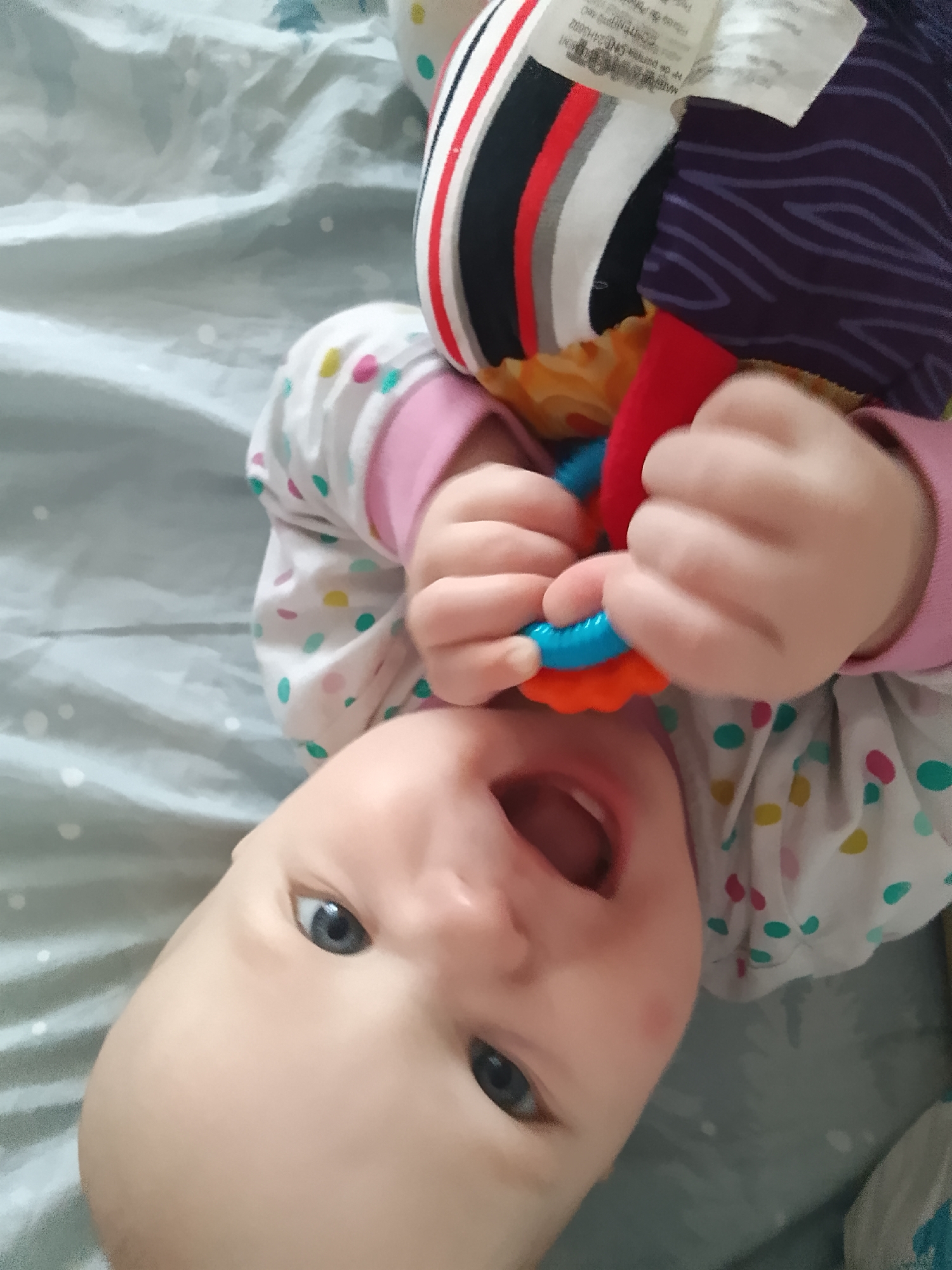 A baby is lying on their back on a gray patterned sheet, holding a colorful toy. The baby's head is turned towards the camera, with their mouth open and eyes looking directly at the viewer. The baby is wearing a white long-sleeved shirt with colorful polka dots and pink trim. The toy is partially visible, showing bright red, orange, and blue sections. The background consists of the gray sheet, which has a textured pattern. The image appears to be taken indoors. There is no information in the image to determine its location in Minsk, Belarus.