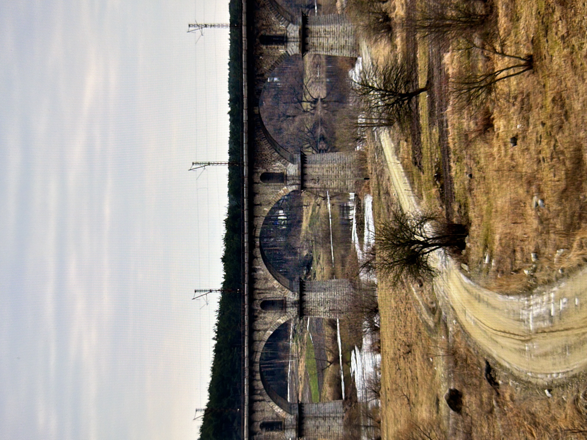 The image depicts a large stone viaduct with multiple arches spanning across a river or body of water. The viaduct is supported by massive stone piers. Above the viaduct, there are railway tracks with overhead power lines, indicating it is a railway bridge. The surrounding environment is a rural landscape with dry, brownish vegetation, scattered trees, and a dirt road winding through the terrain. In the distance, a dense line of dark green trees forms a forest. The sky is overcast with pale clouds. The scene appears to be set in a cool season, possibly late autumn or winter, due to the dry vegetation and sparse foliage on some trees. The image does not contain any people or discernible actions. The location is not specified as being in Kyiv, Ukraine.