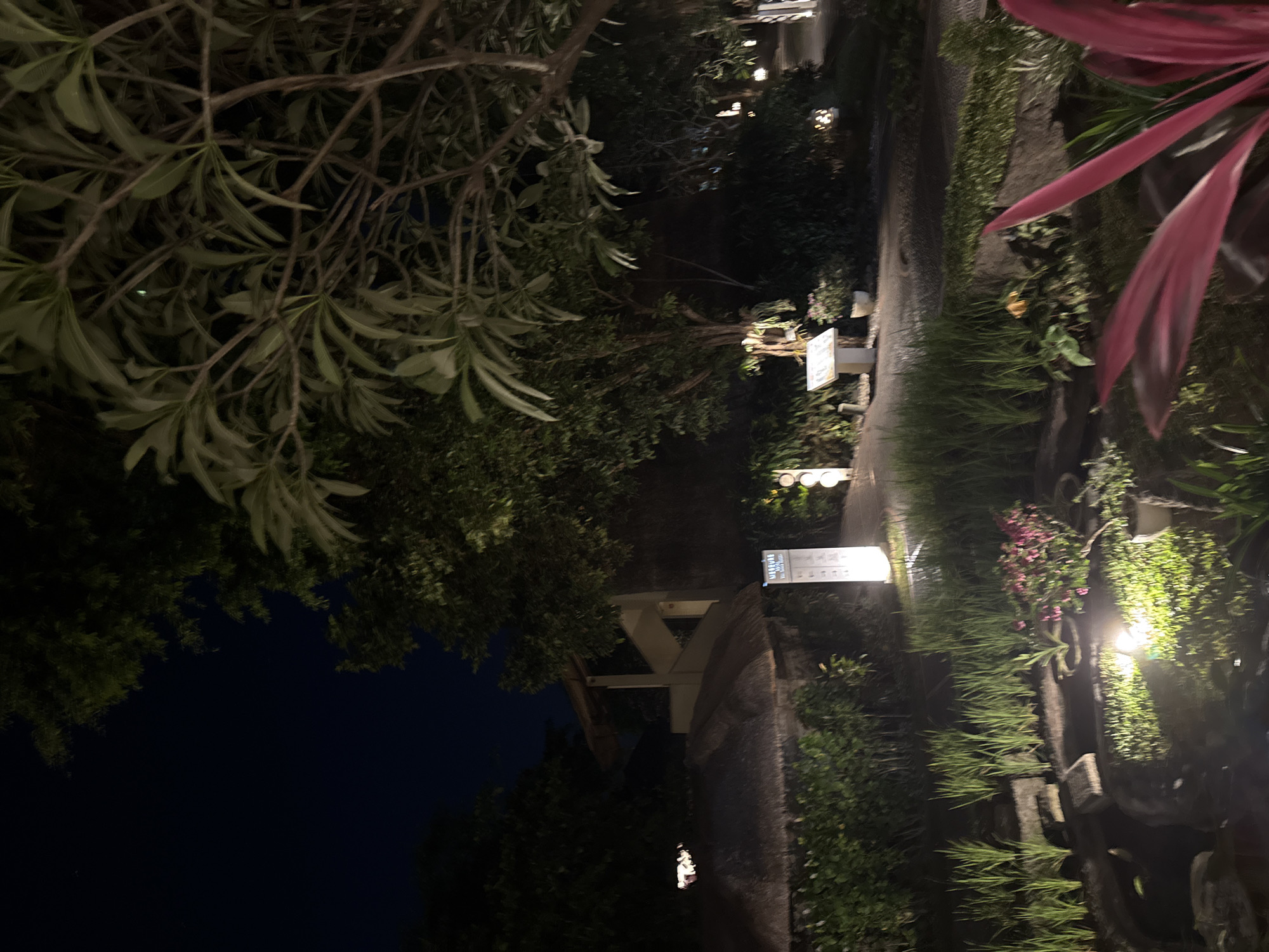 The image depicts a serene nighttime scene at a resort, likely in Denpasar, Indonesia. The foreground features a tranquil pond filled with lush green aquatic plants, illuminated by warm, artificial lights that cast shimmering reflections on the water's surface. Surrounding the pond are manicured gardens with tall, reedy plants and flowering shrubs, adding a vibrant touch of color.
In the mid-ground, a pathway winds through the gardens, lined with subtle lighting fixtures that create an inviting ambiance. A prominent signpost stands near the pathway, displaying information about the resort. Beyond the gardens, a building with a thatched roof and a modern architectural style can be seen, its lights suggesting an active presence within.
The background is dominated by dense foliage and tall trees, their leaves silhouetted against the dark night sky. The overall impression is one of peacefulness and natural beauty, enhanced by the soft illumination of the artificial lights. The scene is devoid of any people or animals, emphasizing the quietude of the resort at night.