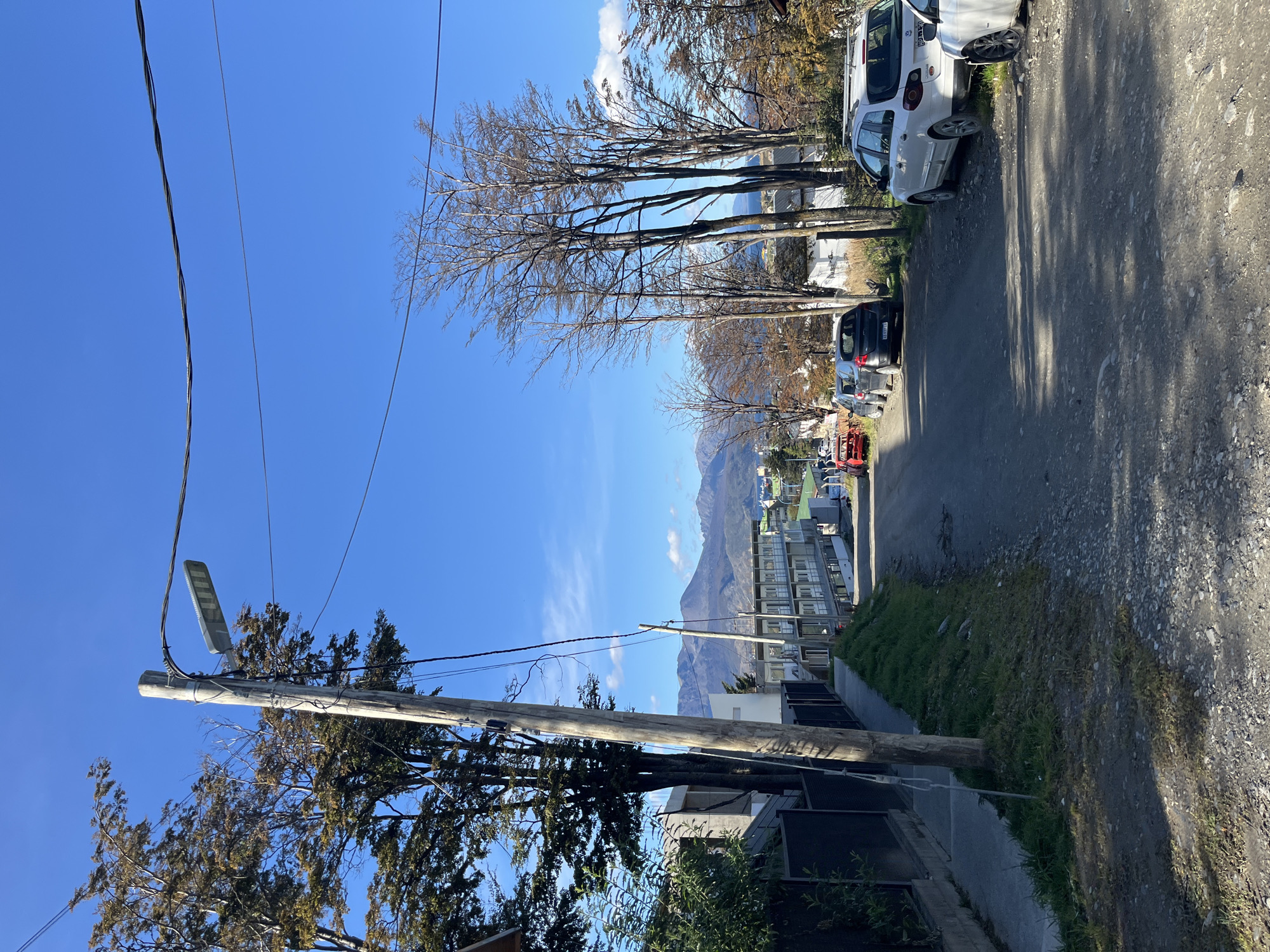 The image depicts a street in Ushuaia, Argentina, with mountains visible in the background. A weathered wooden utility pole stands in the foreground, supporting power lines and a modern streetlight. Lush evergreen trees partially obscure the pole's base. On the right side of the image, a street runs away from the viewer, lined with parked cars, including a white hatchback and a dark sedan. The road surface appears unpaved and gravelly. A grassy verge separates the road from a sidewalk, next to modern houses. Deciduous trees with bare branches line the road beyond the parked cars, and modern apartment buildings stand in the distance with mountains in the background. The sky is a clear, bright blue.