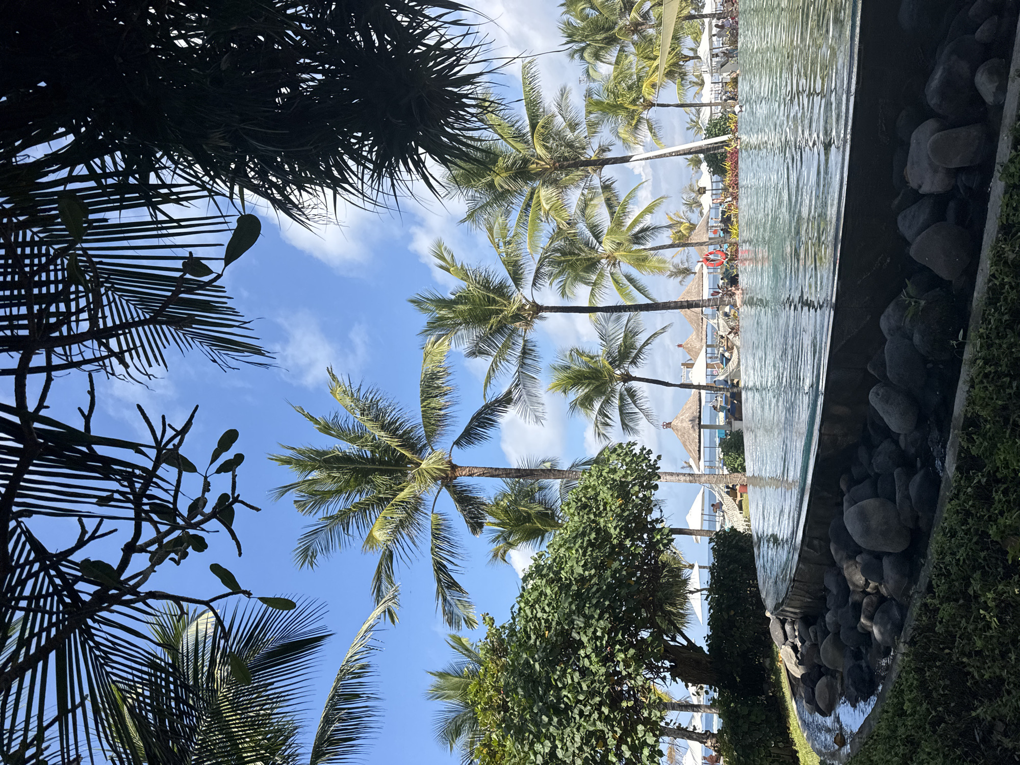 The image depicts an outdoor scene, likely a resort or hotel, with a focus on a swimming pool area. Tall palm trees are abundant, with their fronds silhouetted against a bright blue sky dotted with white clouds, suggesting a sunny day. The camera is positioned looking upwards, creating a sense of looking through the foliage towards the sky and the pool.
In the foreground, dark green leaves and branches of palm trees create a framing effect. The swimming pool is a prominent feature, with shimmering, rippled water reflecting the sky and surrounding elements. The edge of the pool is lined with dark, smooth stones. Beyond the pool, the scene opens up to reveal a resort setting with lounge chairs, umbrellas, and thatched-roof structures, indicative of a tropical vacation spot. Some people can be seen lounging or walking around the pool area, engaged in leisure activities. The presence of lounge chairs and umbrellas suggests a daytime setting, likely mid-morning or afternoon, given the bright sunlight and clear sky. The overall atmosphere conveyed is one of relaxation and tropical leisure. The location context provided is Kuta Selatan, Indonesia, which aligns with the visual cues of palm trees and a resort environment. There is no visible text in the image.