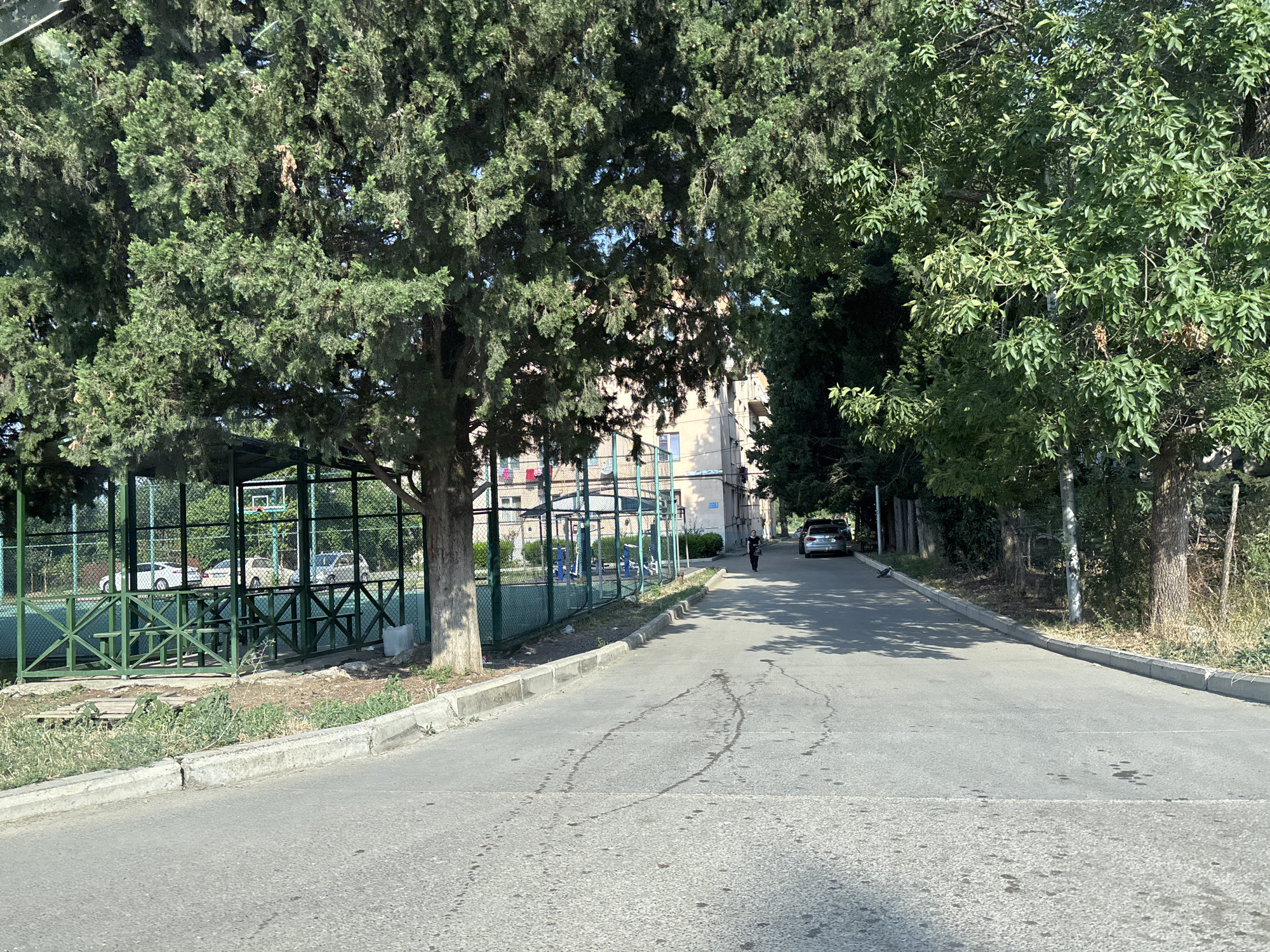 The image depicts a street scene in Tbilisi, Georgia. A paved road curves to the right, bordered by a concrete curb and a narrow strip of overgrown grass. On the left, a green chain-link fence encloses a recreational area, possibly a sports court, with a basketball hoop visible. Several white cars are parked beyond the fence. Tall, mature trees with dense green foliage line both sides of the street, casting shadows on the road. In the background, a multi-story apartment building with a light-colored facade stands behind the trees. A person dressed in dark clothing is walking away from the camera on the right side of the road, and a dark-colored car is parked further down on the right. The overall environment appears to be an urban residential area on a sunny day.