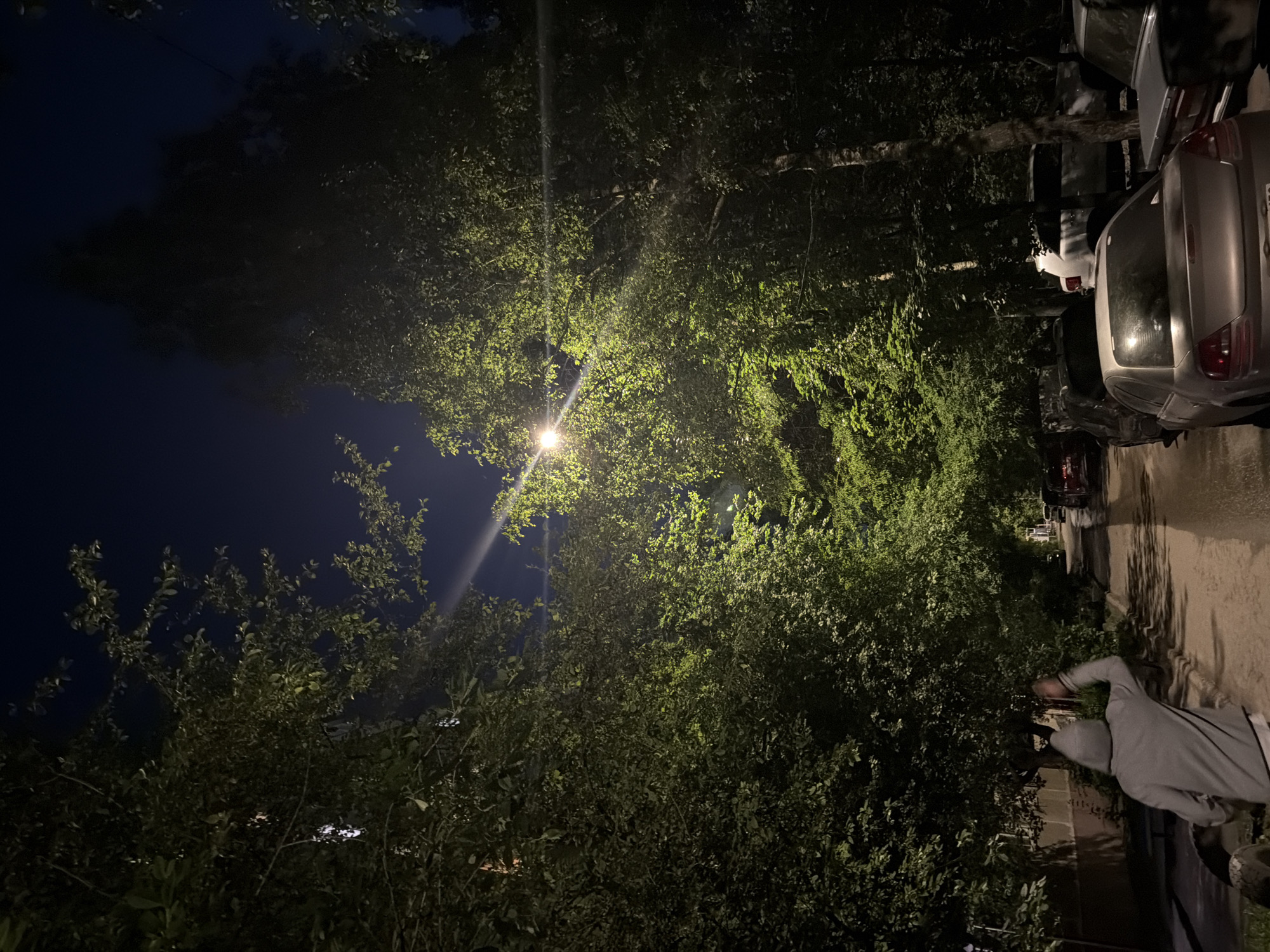 The image captures a dimly lit street scene at night, presumably in Nizhny Novgorod, Russia, with streetlights illuminating the surrounding trees and pathway. The scene is dominated by dense foliage from trees lining a residential area, casting long shadows. A person wearing a grey hooded sweatshirt is visible on the left side of the frame, with their back to the camera and their right arm raised. Several parked cars are present along the street, some of which are dimly illuminated by the streetlights. The ground appears to be wet, suggesting recent rain or a damp environment. The sky is dark, indicating nighttime.