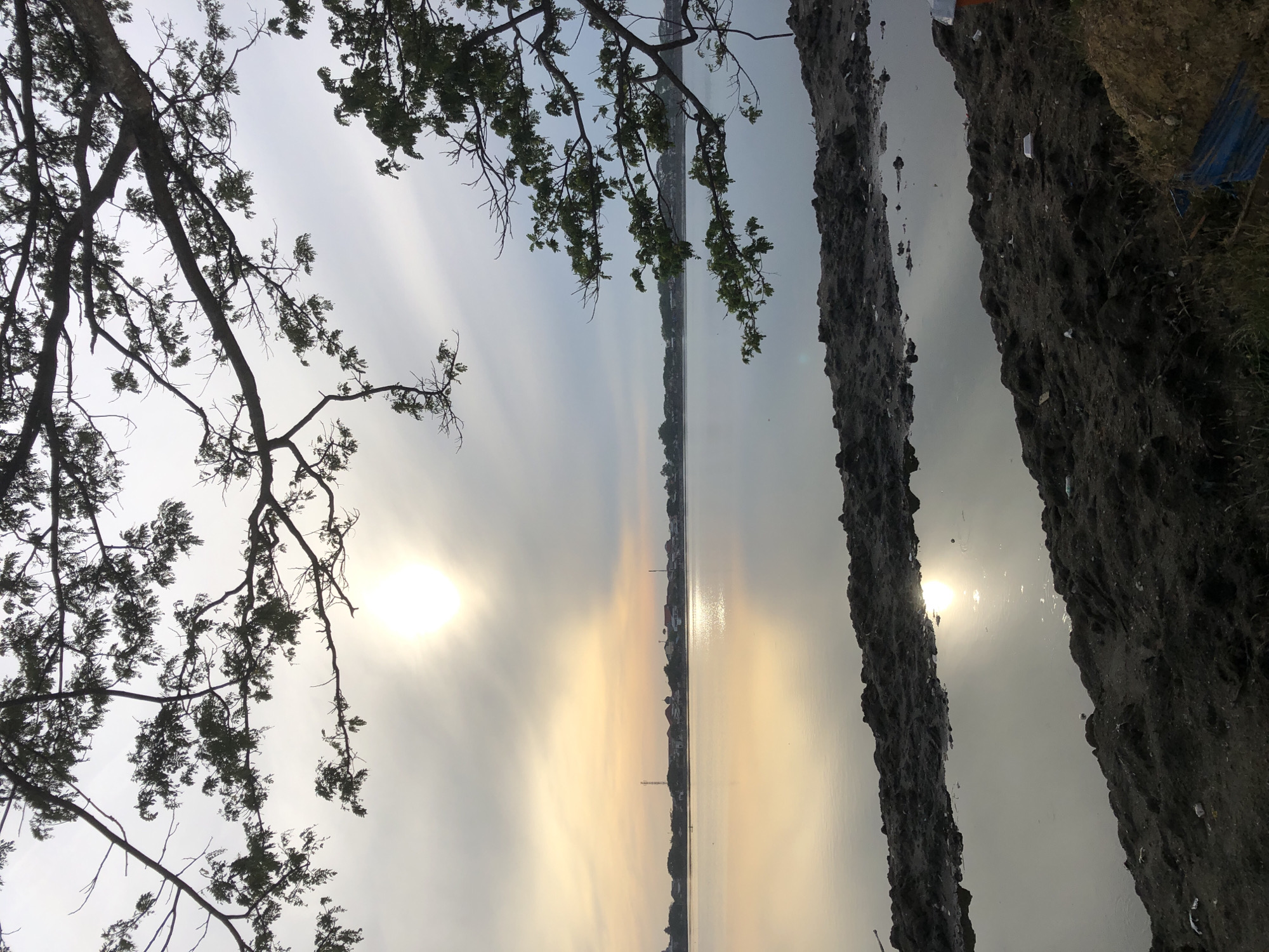The image depicts a serene natural scene at a body of water, likely a lake or bay, near the city of Lhokseumawe, Indonesia. In the foreground, there is a muddy bank with some debris, suggesting a somewhat undeveloped or natural shoreline. The water itself is calm and reflective, mirroring the soft light of the sky. The sky is overcast but illuminated by the sun, which creates a gentle glow and a subtle yellow hue towards the horizon, indicative of either early morning or late afternoon. Silhouetted against the sky, the branches of a large tree with dense foliage frame the upper portion of the image, adding a natural, organic element to the composition. In the distance, a faint line of buildings and structures can be seen along the opposite shore, hinting at the presence of a settlement or part of the city of Lhokseumawe. The overall atmosphere is tranquil and peaceful, with the natural elements of water, sky, and trees dominating the visual landscape.