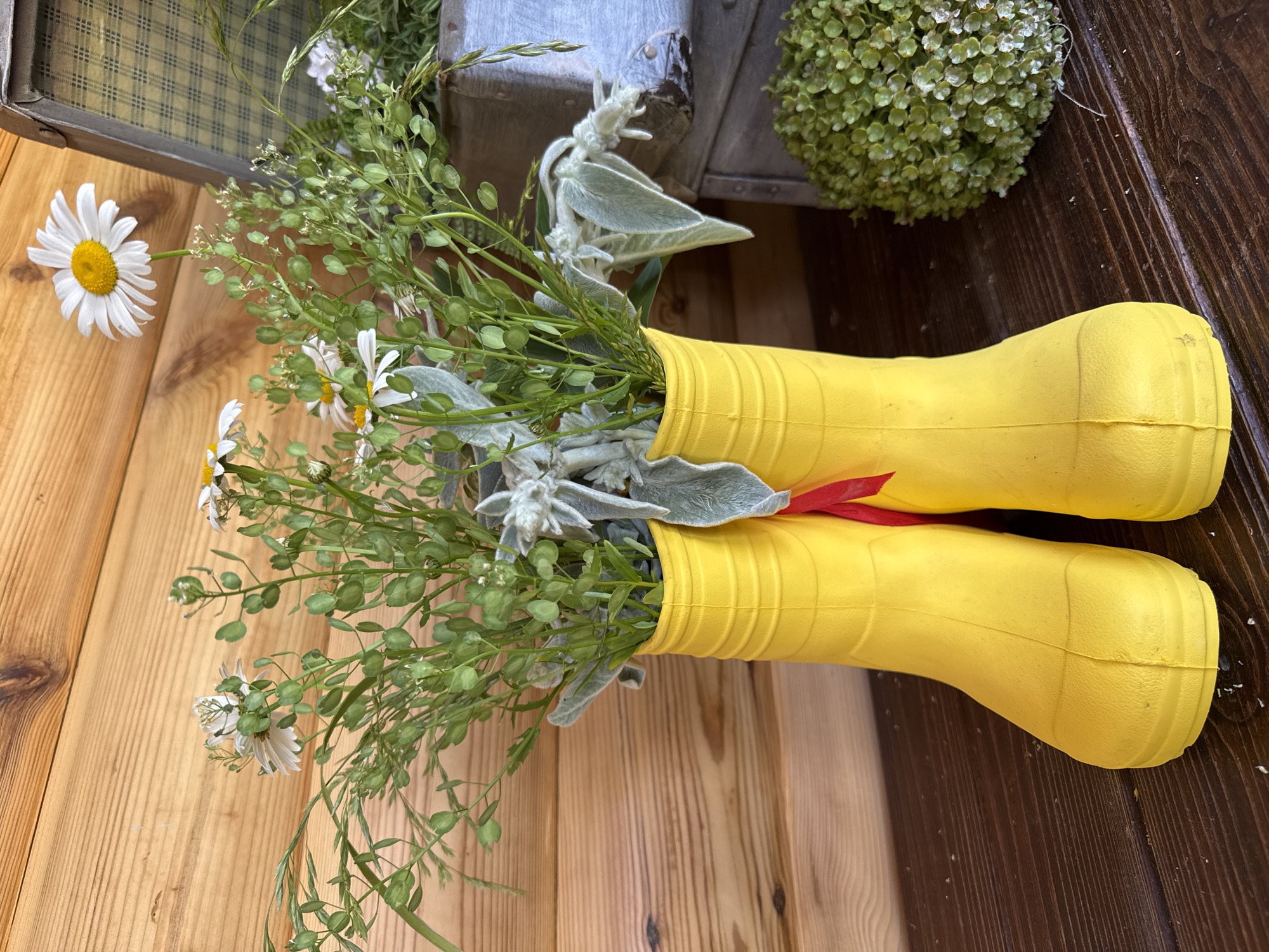 A close-up, eye-level shot shows a whimsical floral arrangement featuring daisies and green foliage in a pair of bright yellow rubber boots. The boots are placed on a dark wooden surface, with a wooden wall in the background. To the right of the boots, a rustic wooden crate is visible, containing a plaid fabric lining. A small, spherical green plant sits to the right of the boots. The scene is indoors, likely on a porch or in a well-lit room, with no people present. The overall impression is one of rustic charm and a celebration of nature. This scene does not depict any identifiable landmarks or locations within Veliky Novgorod, Russia.