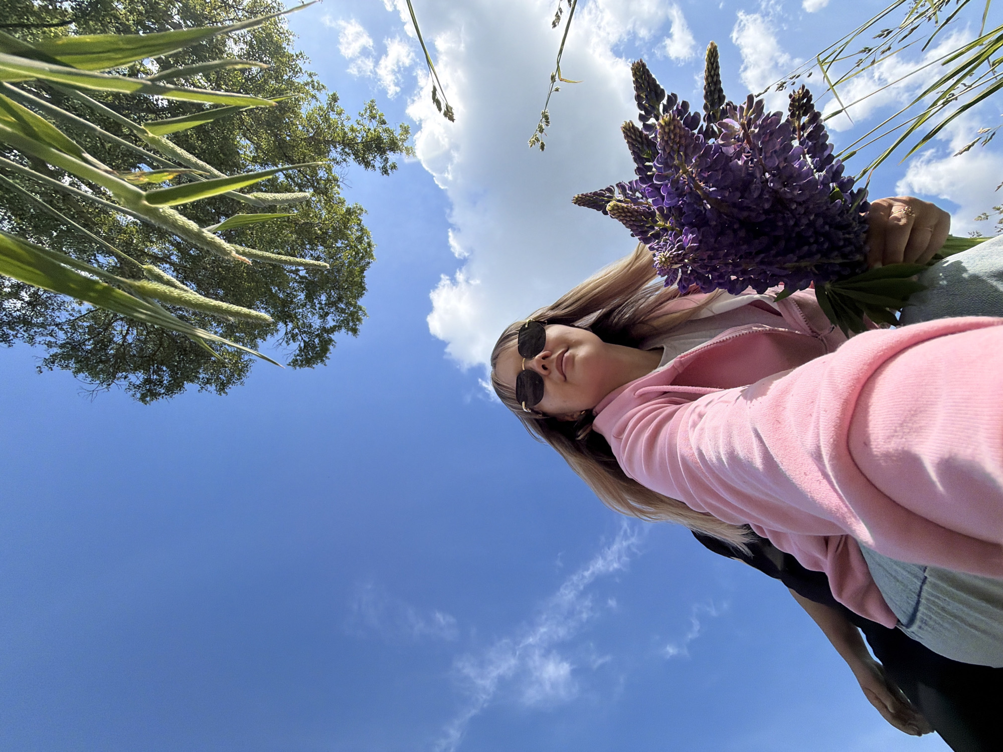 An upward-facing, low-angle photograph captures a bright outdoor scene with a person and a bouquet of flowers against a vast blue sky. In the lower right portion of the frame, a young individual is visible, wearing a pink hooded sweatshirt and dark sunglasses. Their light-colored hair falls over their shoulders, and their face is tilted slightly upwards towards the sky. They are holding a large, vibrant bouquet of purple lupine flowers in their left hand, which is prominently featured in the upper right.
The background is dominated by a clear, deep blue sky adorned with several scattered, fluffy white clouds, indicating a sunny day. Bright sunlight bathes the scene. From the upper left and top edges, tall green grasses or reeds with visible seed heads extend into the frame. The dense green foliage of a large tree canopy is also visible in the upper left corner, suggesting a natural environment such as a park or field, consistent with the location context of Гаревая, Russia. The image portrays a serene and pleasant moment spent outdoors during the day. There is no visible text.