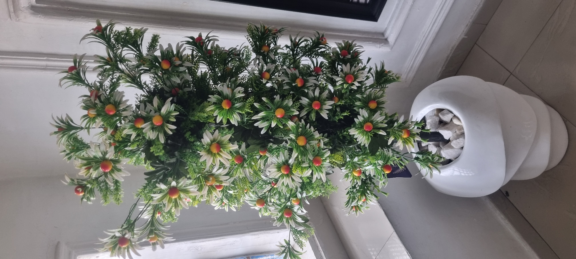 The central subject is a decorative potted plant, likely artificial, featuring dense green foliage. Numerous daisy-like flowers with white petals, fading to green towards their centers, are interspersed throughout the plant. Each flower has a prominent, spherical red-orange center, resembling a small berry or fruit.
The plant is housed in a modern, glossy white ceramic pot with a distinctive layered or sculptural design. The pot's opening is filled with small, irregularly shaped white decorative stones or pebbles.
The setting appears to be indoors, with light-colored (possibly white or light grey) walls and floor tiles forming the background. A dark horizontal element, possibly part of a window frame or furniture, is visible in the upper right portion of the image, along with a white architectural trim on the wall.
No activity or event is taking place; the image is a still life capturing the plant as a decorative object.
Notable details include the bright, even lighting, suggesting an indoor environment. The photograph is taken from a slightly elevated perspective, looking down into the plant. A small, dark-colored tag or label is partially visible near the base of the plant, but any text on it is illegible. The provided location context for this media file is Alasia, Nigeria, although no specific visual cues within the image confirm this.