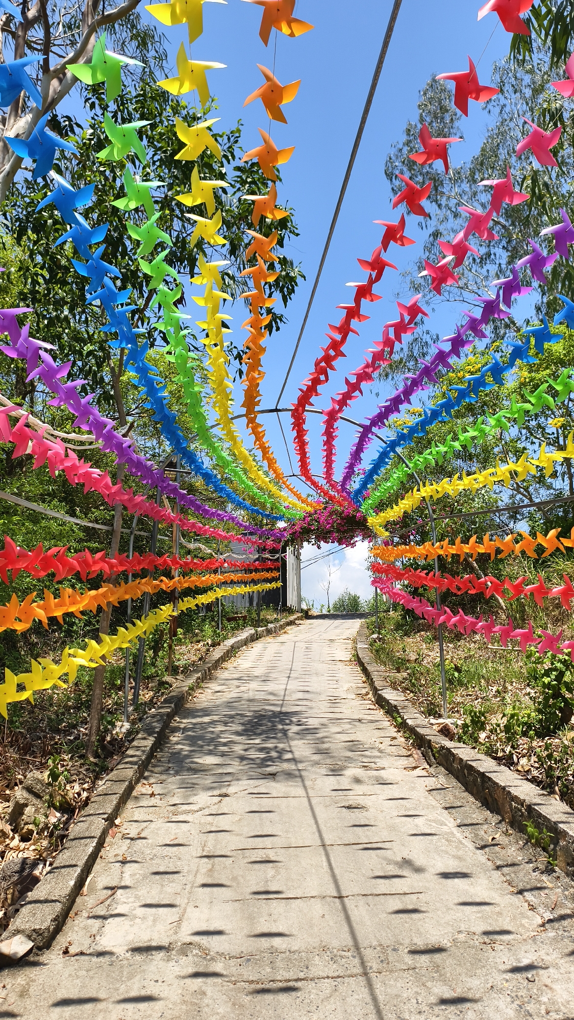 The image depicts an outdoor pathway in Nam Nha Trang Ward, Vietnam, adorned with a vibrant rainbow arch of colorful pinwheels. The pathway itself is paved with concrete slabs and bordered by stone. The pinwheels, strung together on wires, form a canopy overhead, cascading in a spectrum of colors from red, orange, yellow, green, blue, to purple. They are arranged in multiple rows, creating a visually striking effect. Lush green trees and foliage surround the pathway, with some flowering plants visible near the center of the arch. The bright sunlight casts distinct shadows of the pinwheels onto the pathway, adding a dynamic element to the scene. The sky above is clear and blue. There are no people or animals present in the image.