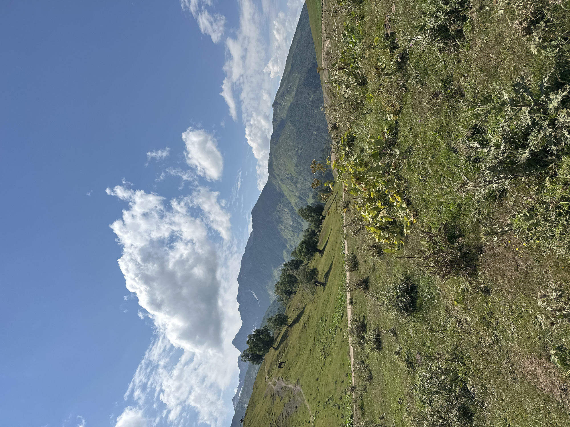 This image depicts a mountainous landscape in Lunnaya Polyana, Russia, under a bright blue sky dotted with white clouds. The foreground is a grassy field with scattered vegetation and some dry brush. A winding dirt path cuts through the field, leading up a gentle slope.
The middle ground features a more pronounced hillside covered in lush green grass, dotted with scattered trees. Two horses are visible on the hillside, one grazing and another standing near the path. The path continues its ascent, curving around the slope.
In the background, a series of green, forested mountains rise, their peaks partially obscured by haze or distance. Some snow-capped mountains are visible further in the distance, adding to the grandeur of the scene. The overall impression is one of a serene, natural environment.