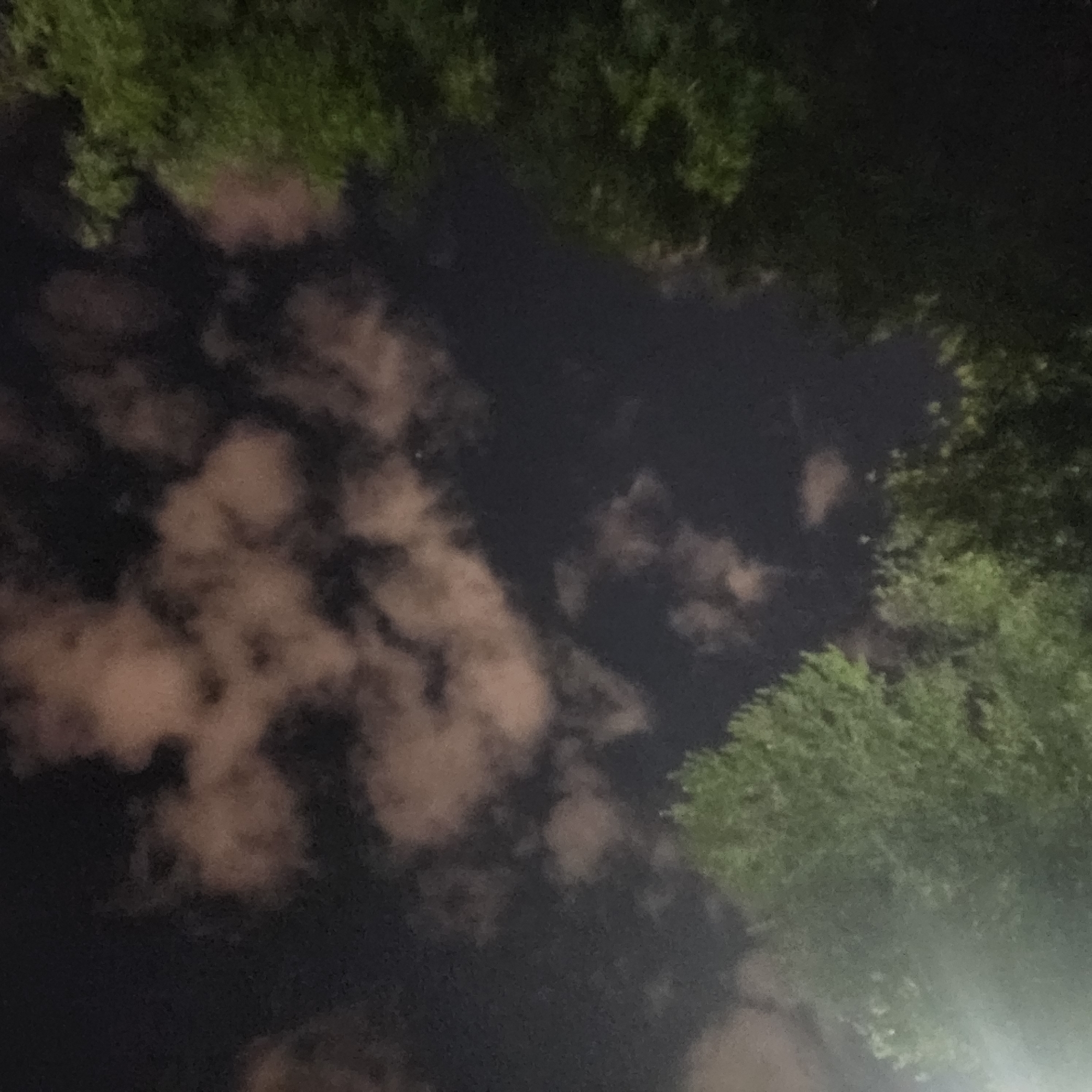 The image shows a night sky with scattered clouds illuminated by an unseen light source. The clouds have a reddish-brown hue. In the foreground, the tops of green trees are visible, suggesting an outdoor setting. There are no people or specific landmarks identifiable. The scene appears to be a natural environment at night. There is no information in the image to suggest it is located in Moscow, Russia.