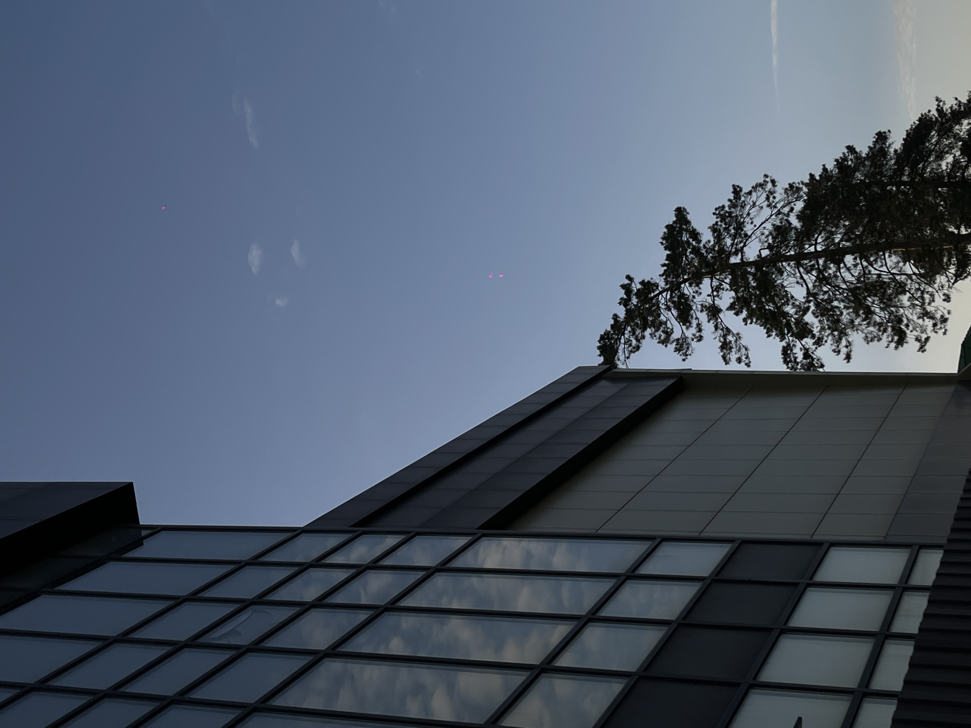 The image shows a modern building in Novopokrovskaya, Russia. The building has a facade with a grid of windows reflecting the sky. Above the windows is a dark, angled section with parallel lines. A tall pine tree stands on the roof near the edge. The sky is pale blue with some faint clouds and two pink spots, possibly light reflections or artifacts. A contrail is visible in the upper right sky.