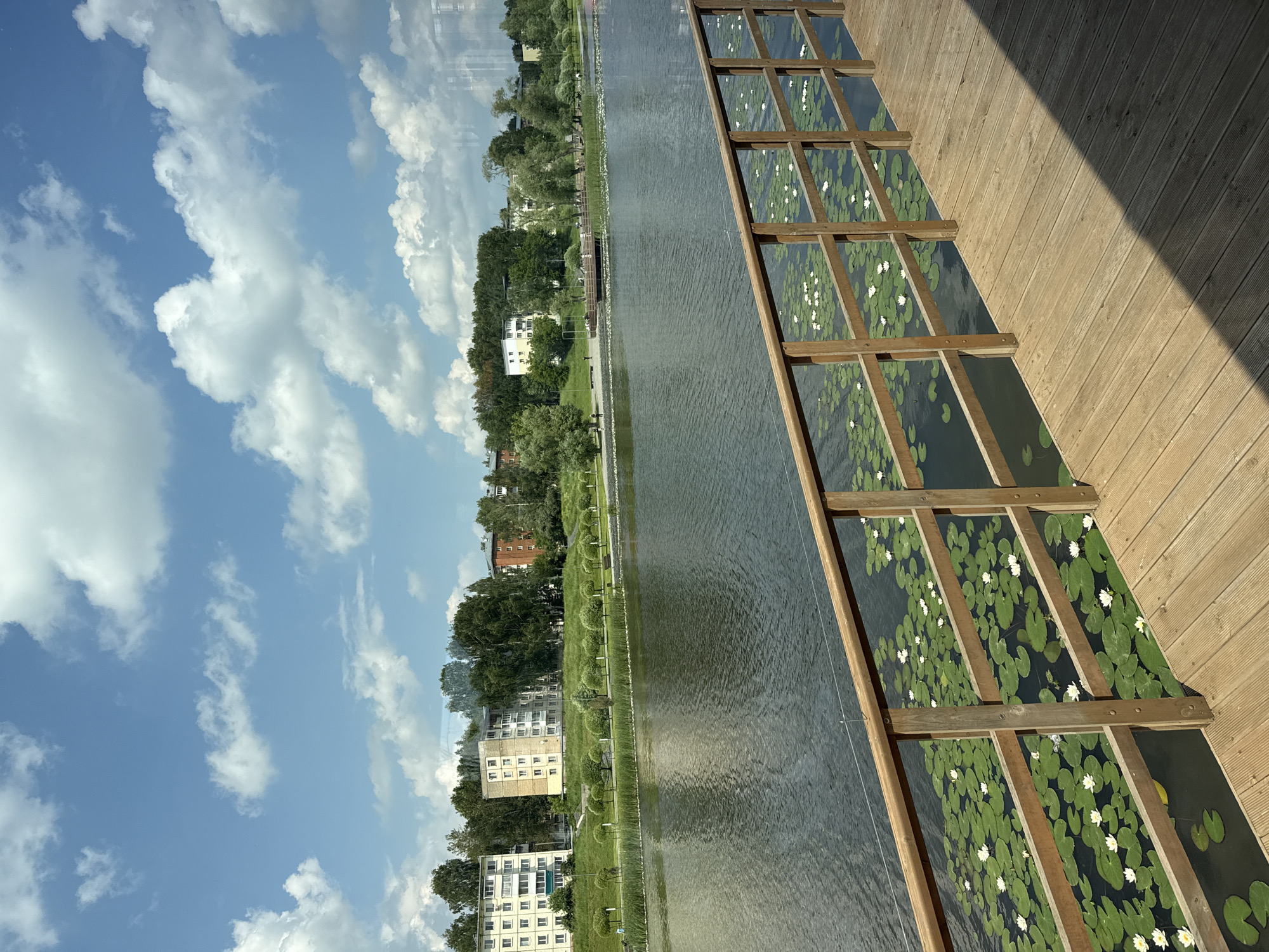 The image depicts a serene waterscape with a wooden boardwalk in the foreground. The boardwalk, constructed from light-colored wooden planks, runs diagonally from the lower right to the mid-left of the frame. A simple wooden railing, composed of vertical posts and horizontal beams, separates the boardwalk from the water.
The water is dark and appears somewhat rippled, reflecting the sky above. A dense carpet of lily pads covers a significant portion of the water's surface, interspersed with numerous white water lilies in bloom.
Beyond the water, a grassy embankment slopes upwards, lined with a row of neatly trimmed, spherical trees. Further back, several multi-story apartment buildings, varying in color from light beige to reddish-brown, are visible amidst a backdrop of dense green trees. The sky is a vibrant blue, punctuated by scattered white, fluffy clouds.
The scene is likely a public park or waterfront area in Votkinsk, Russia, given the architectural style of the buildings and the presence of a manicured park area alongside a body of water. The time of day appears to be daytime, likely late morning or early afternoon, due to the bright sunlight casting a distinct shadow on the boardwalk. There are no discernible people or active events captured in the image, suggesting a peaceful and quiet moment. The overall impression is one of natural beauty integrated with urban development.